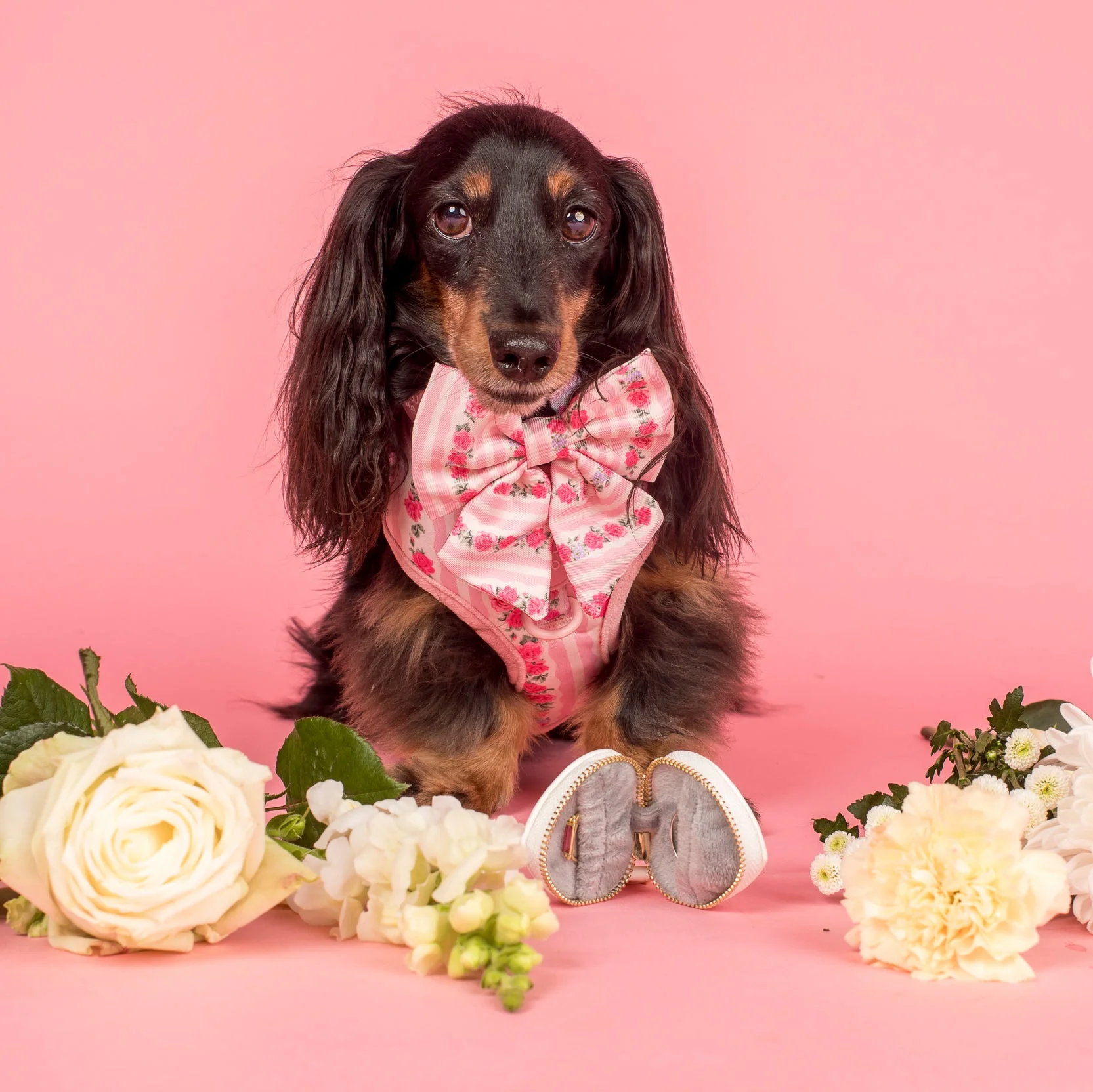 Heart Dog Ring Bearer Pouch - Image 11