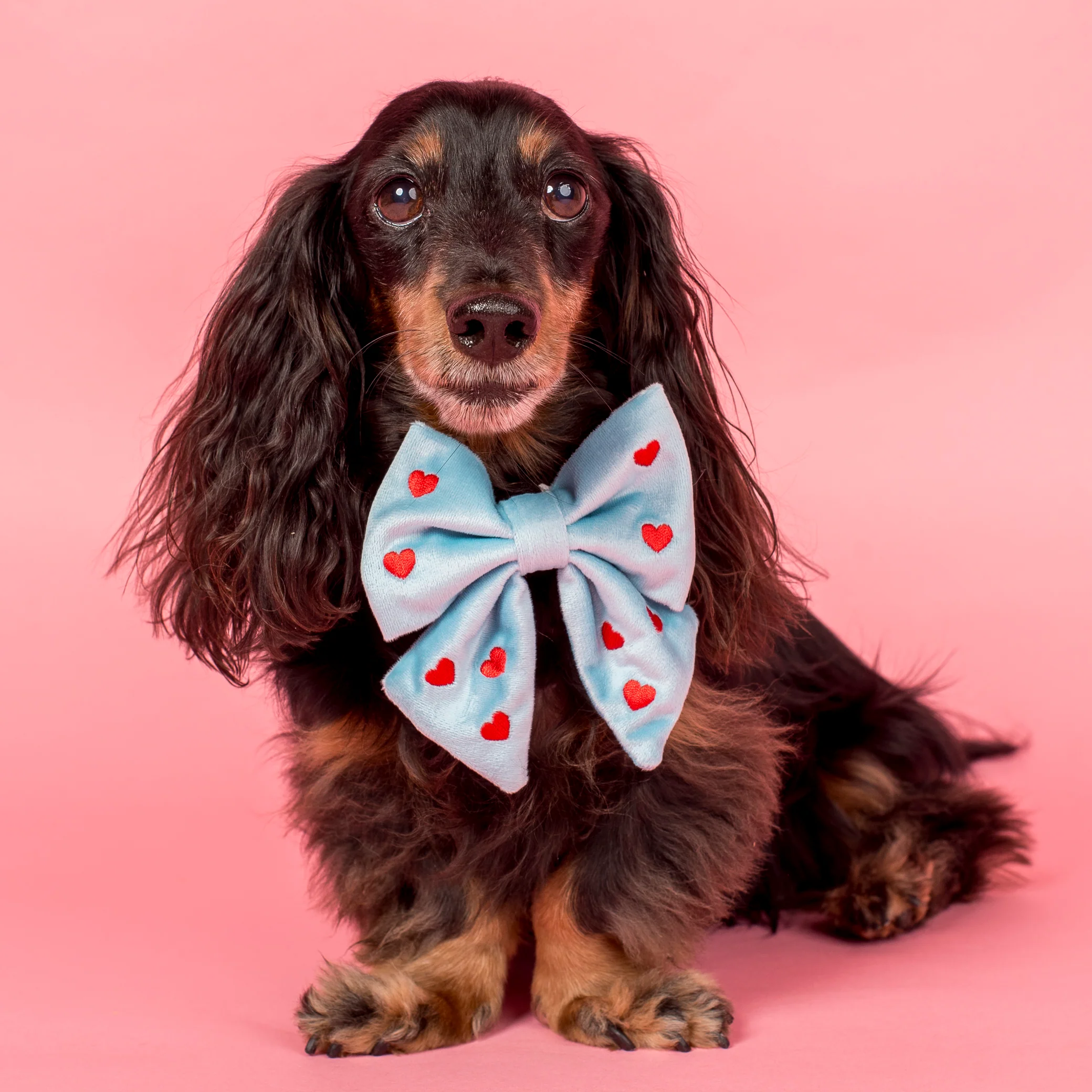 Heart: Velvet Sailor Bow - Blue & Red