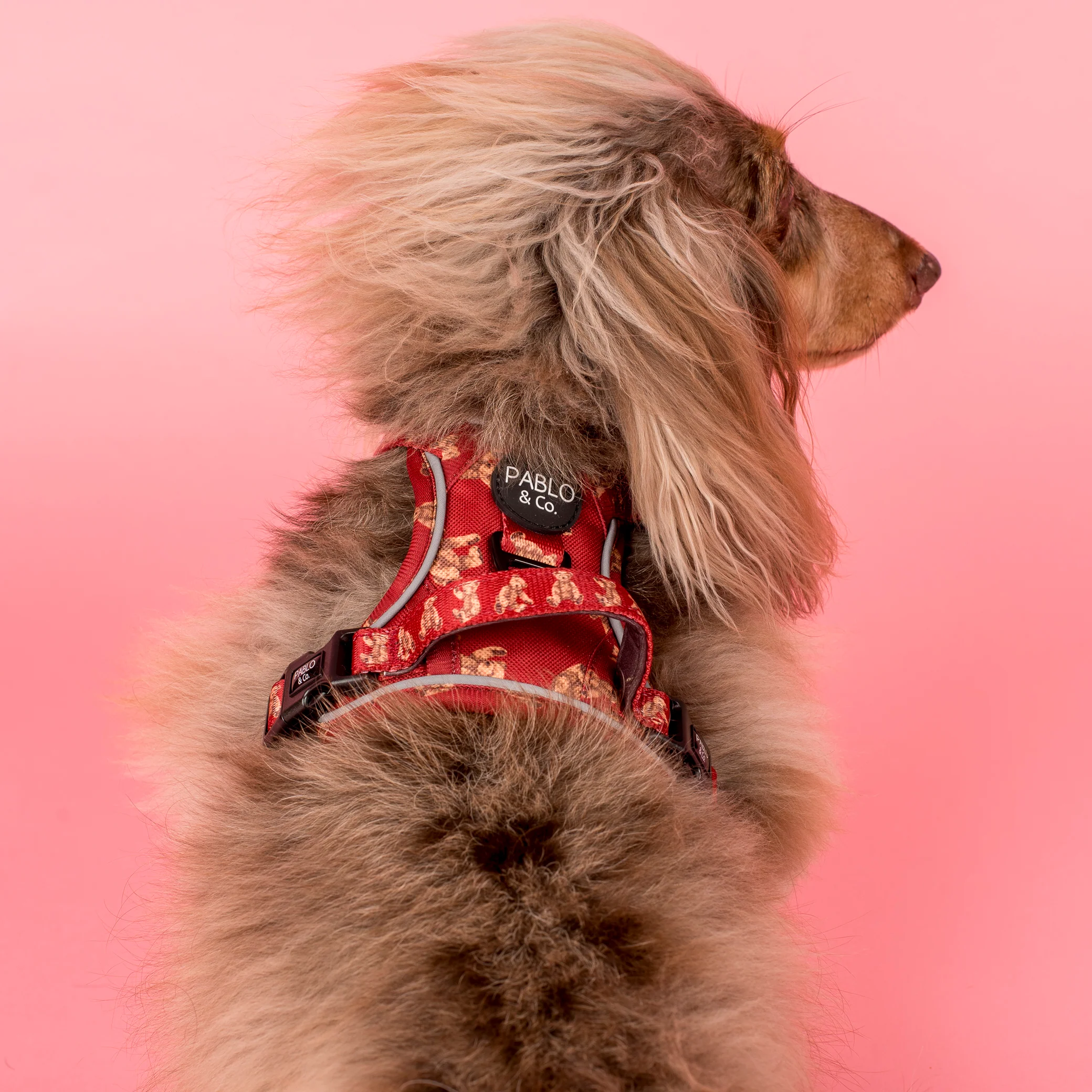 Henry Bear: No Pull Adventure Harness - Image 7