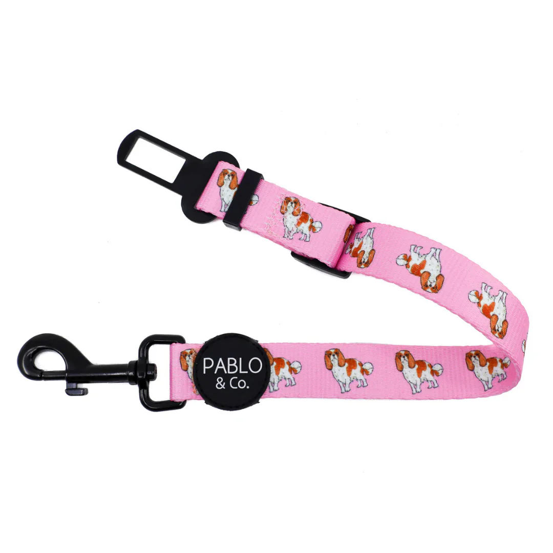 Cavalier King Charles: Adjustable Car Restraint