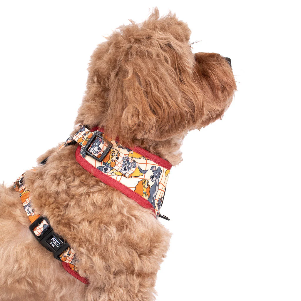 Lady and the Tramp: Adjustable Harness - Image 3