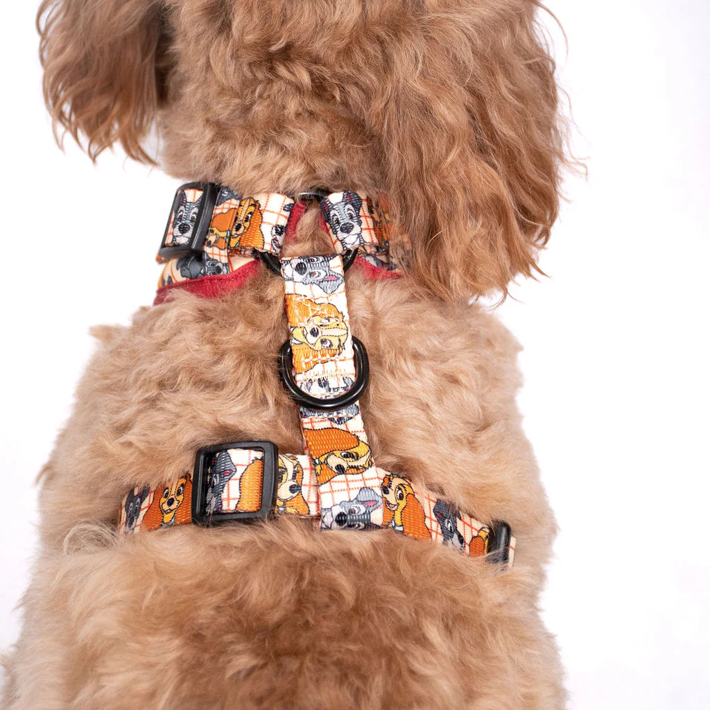 Lady and the Tramp: Adjustable Harness - Image 4