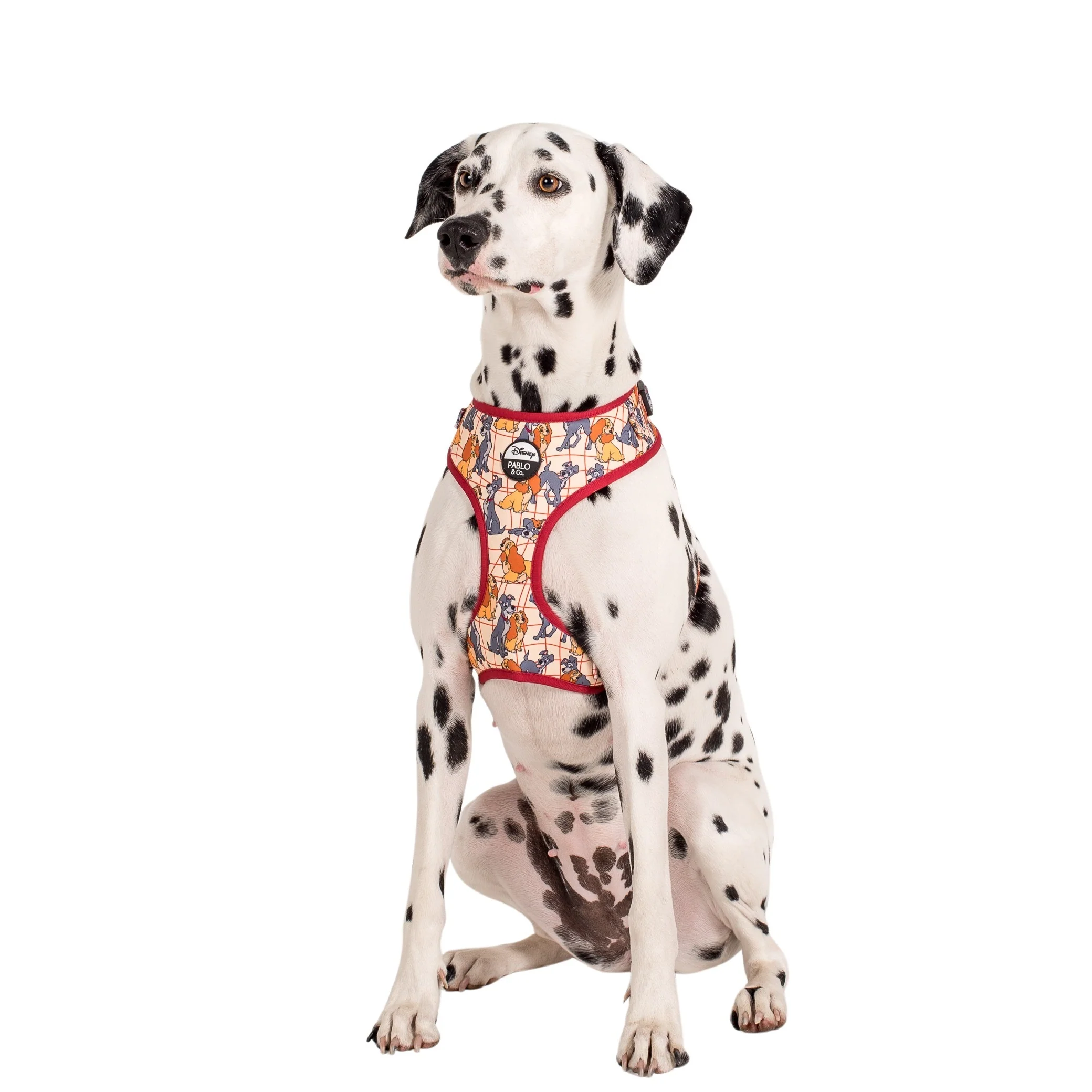 Lady and the Tramp: Adjustable Harness - Image 5
