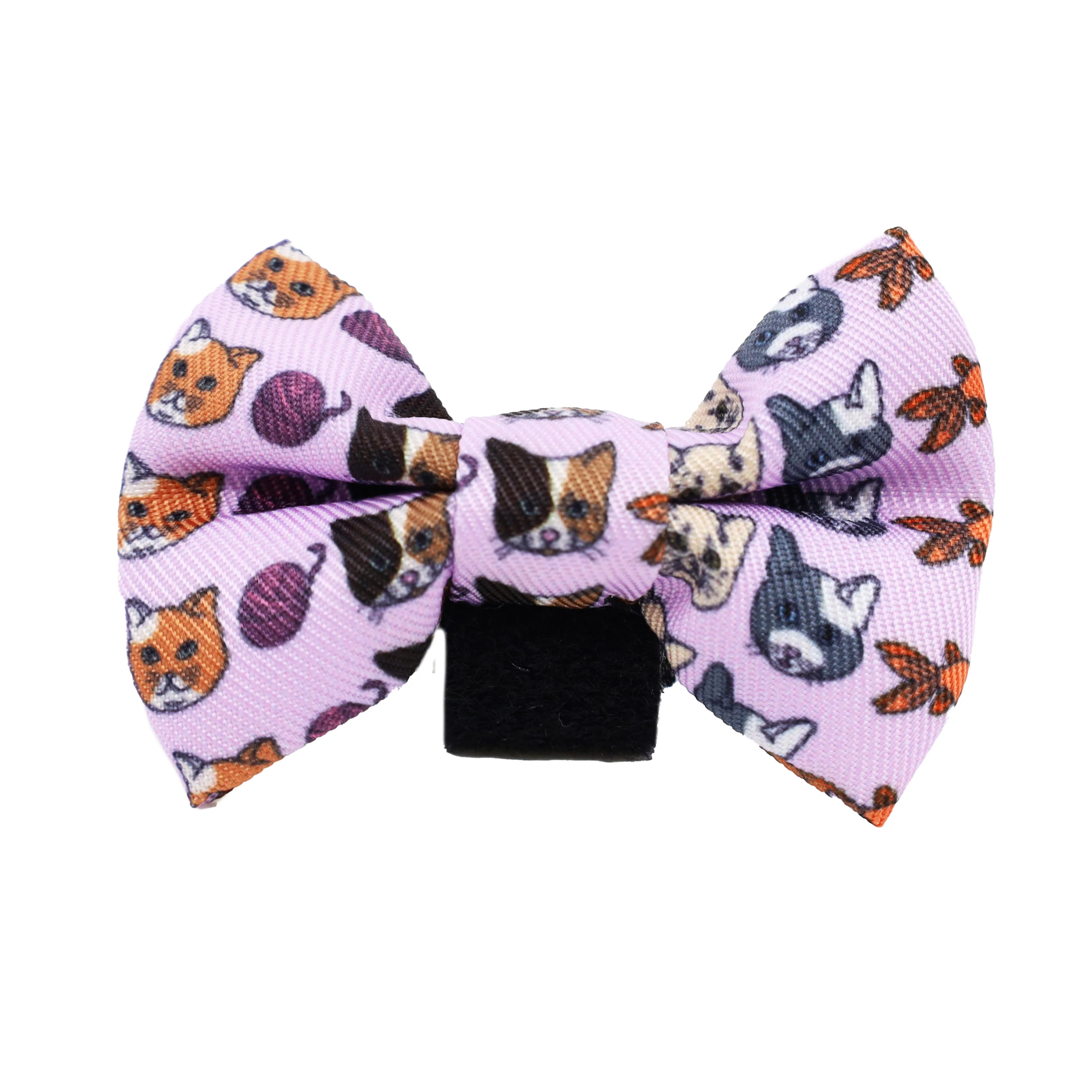 Meow Purple: Cat Bow Tie