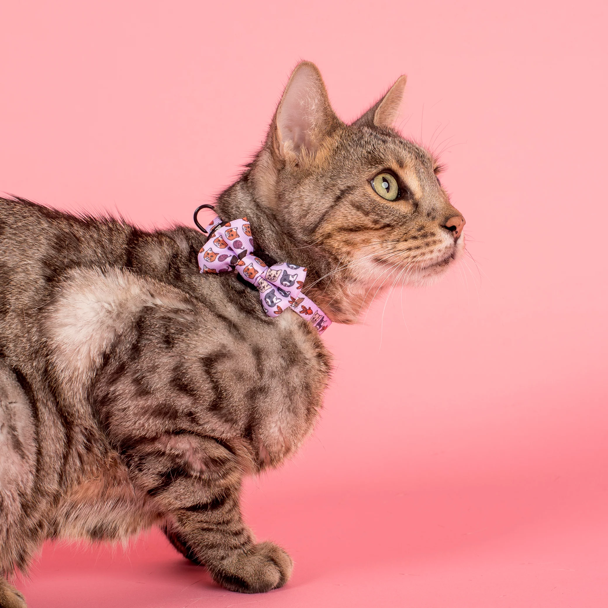Meow Purple: Cat Bow Tie - Image 2