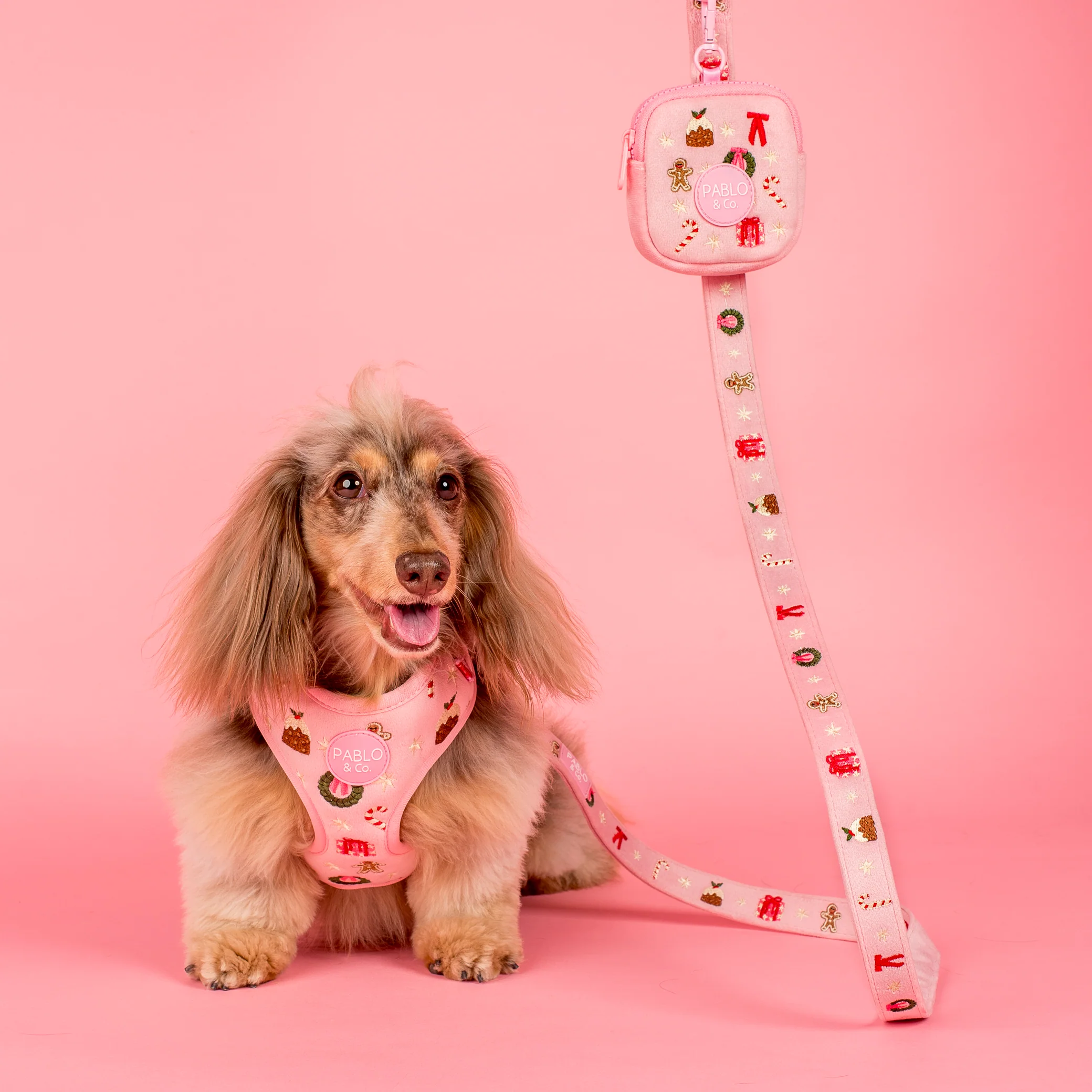 Merry & Bright: Dog Leash - Image 2
