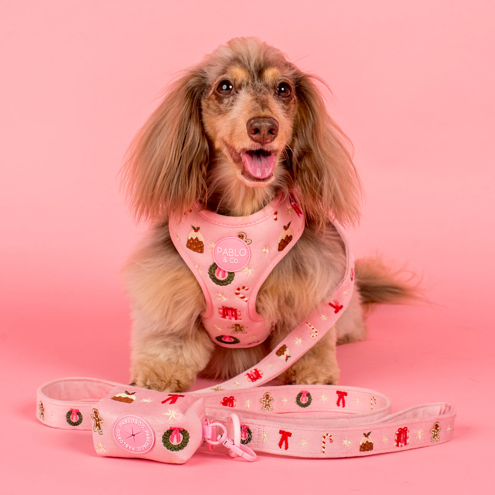 Merry & Bright: Dog Leash - Image 4