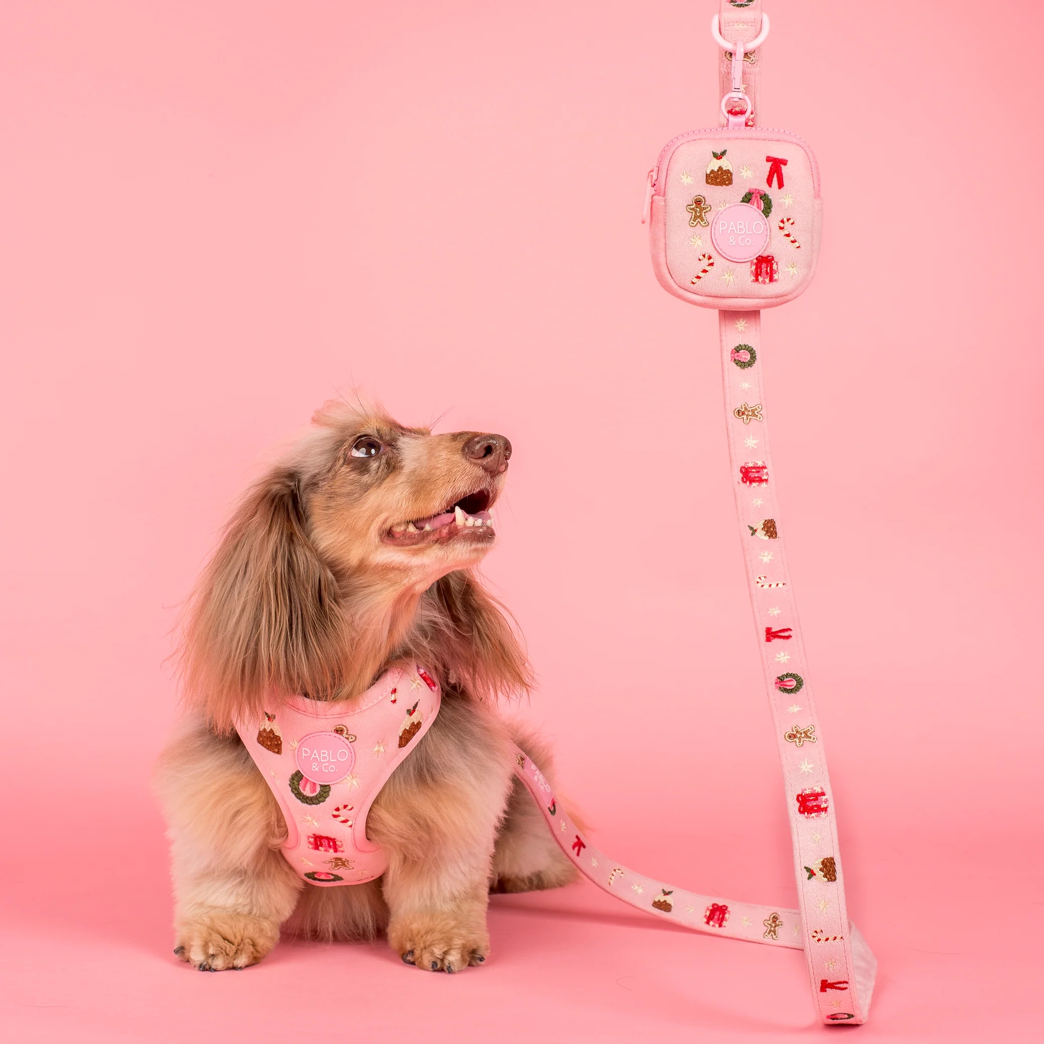 Merry & Bright: Treat Pouch