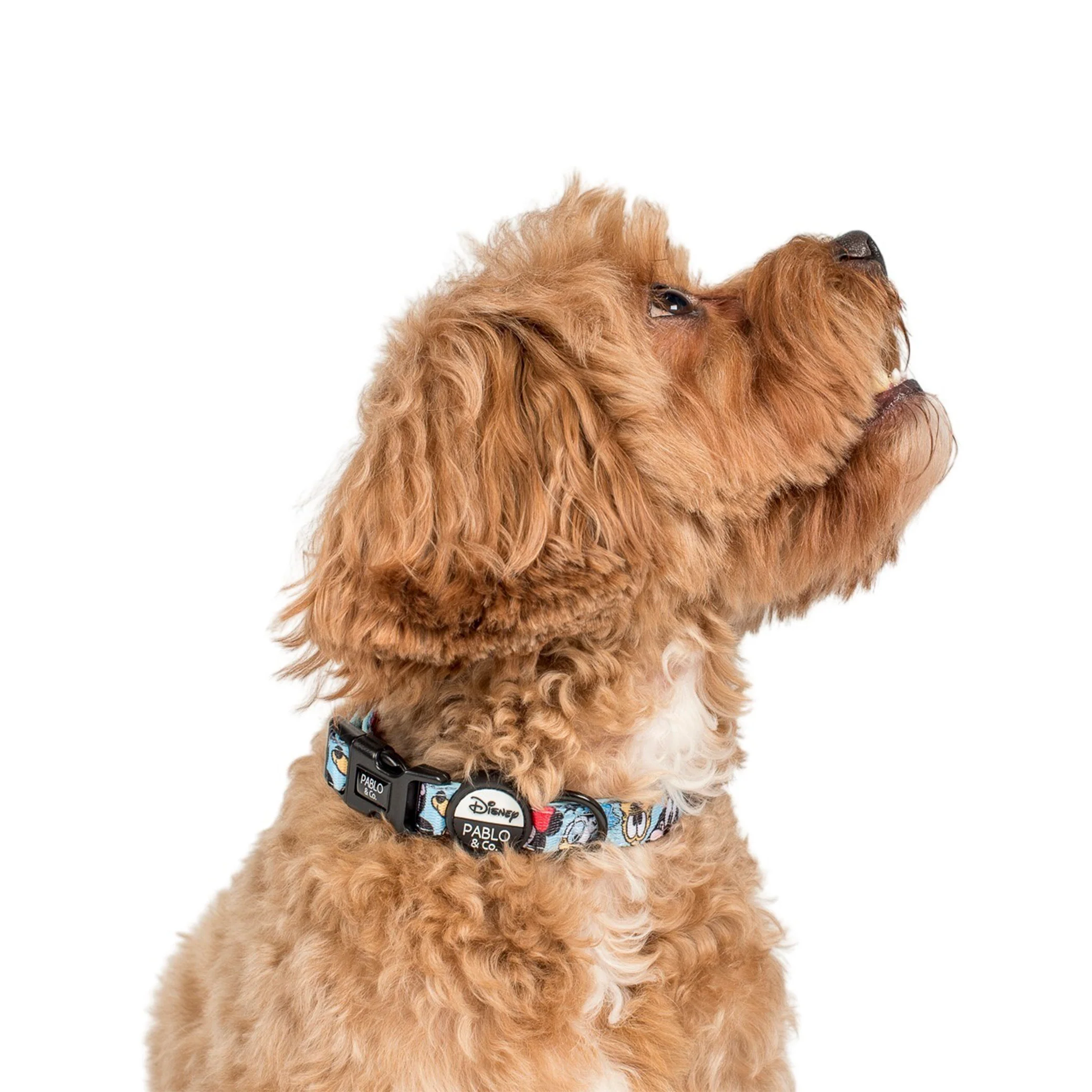 Mickey & Friends - Blue: Dog Collar - Image 3