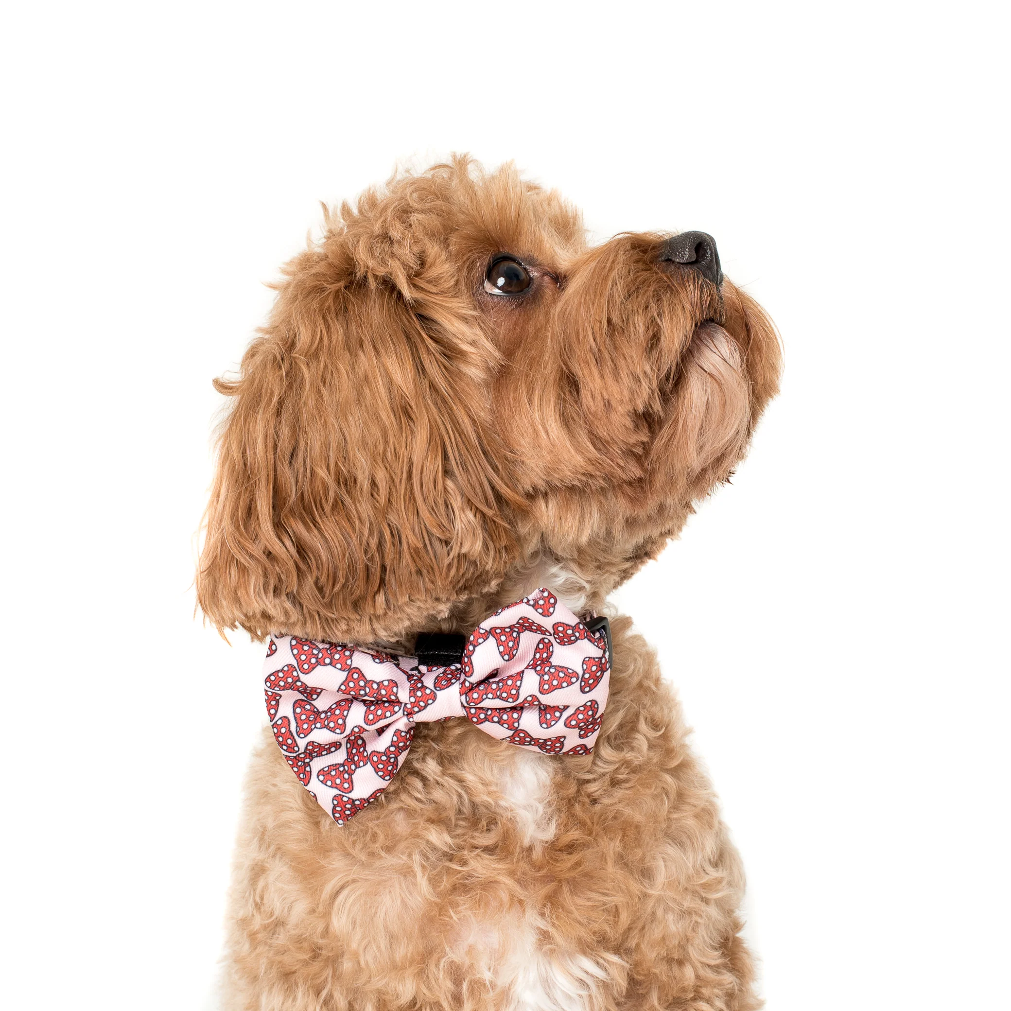 Minnie Mouse Bows: Bow Tie - Image 3