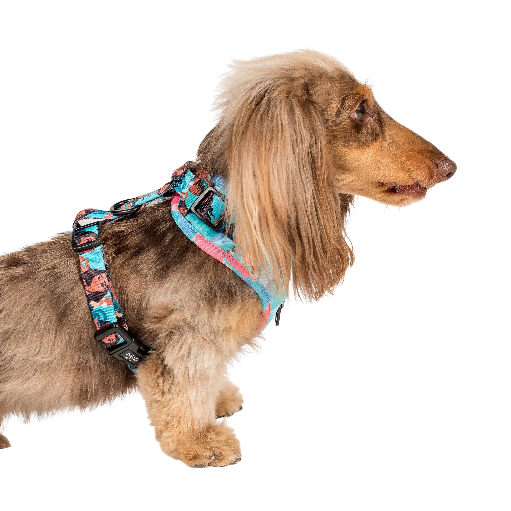 Moana: Adjustable Harness - Image 3