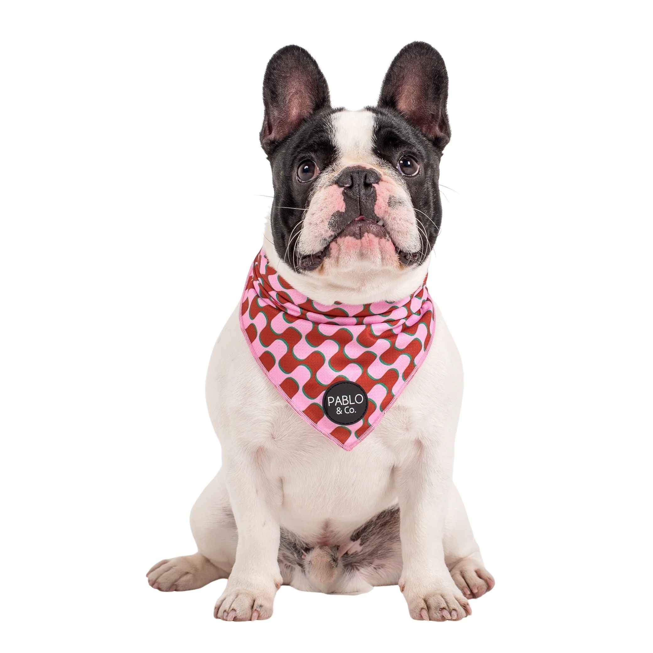 Mod Madness - Dog Bandana