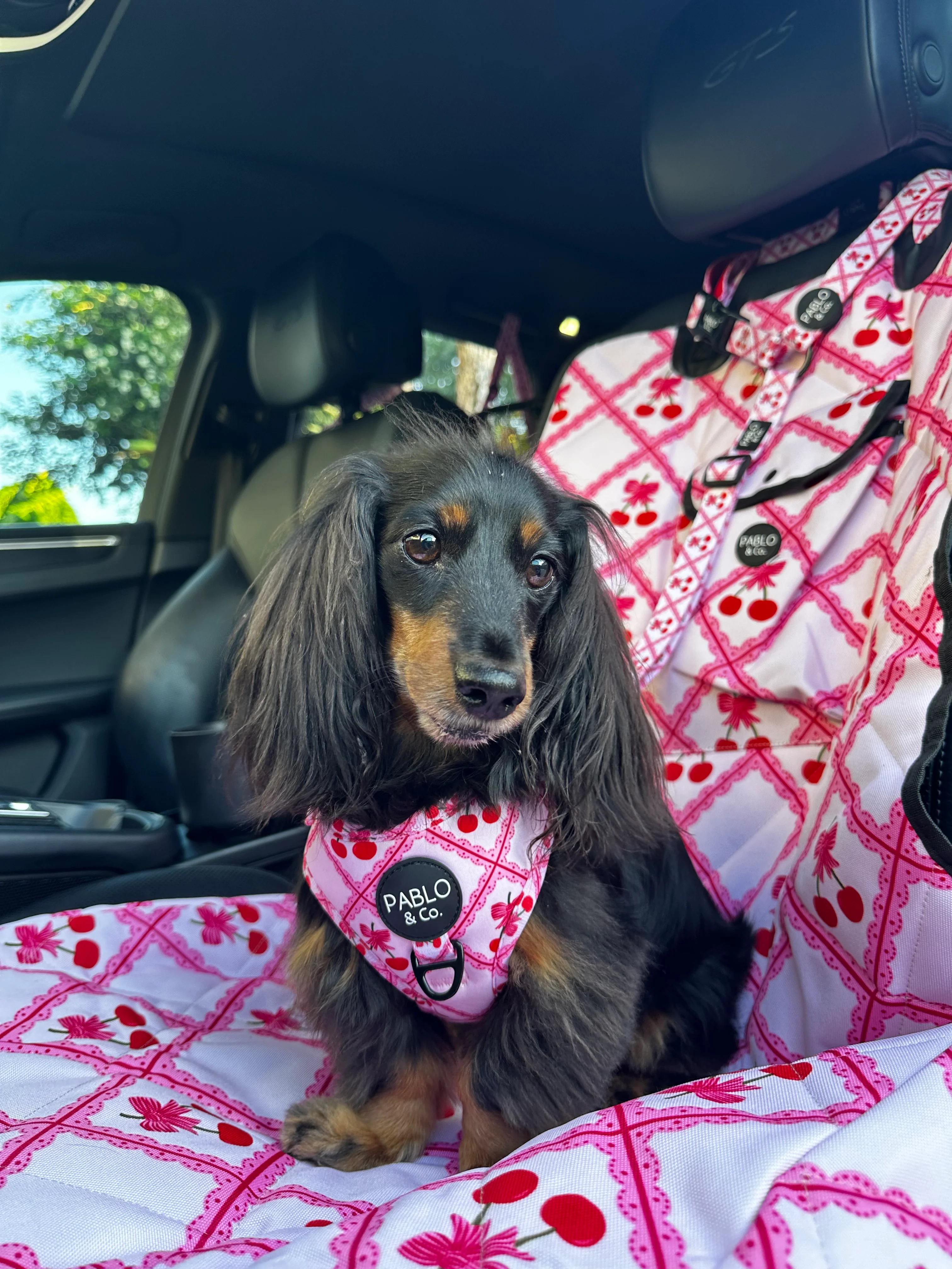 Ma chérie: Headrest Car Restraint - Image 2