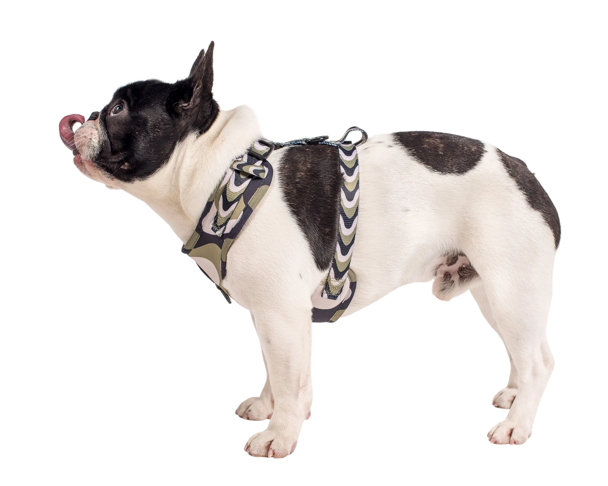 Navy Wavy: Adjustable Harness - Image 4