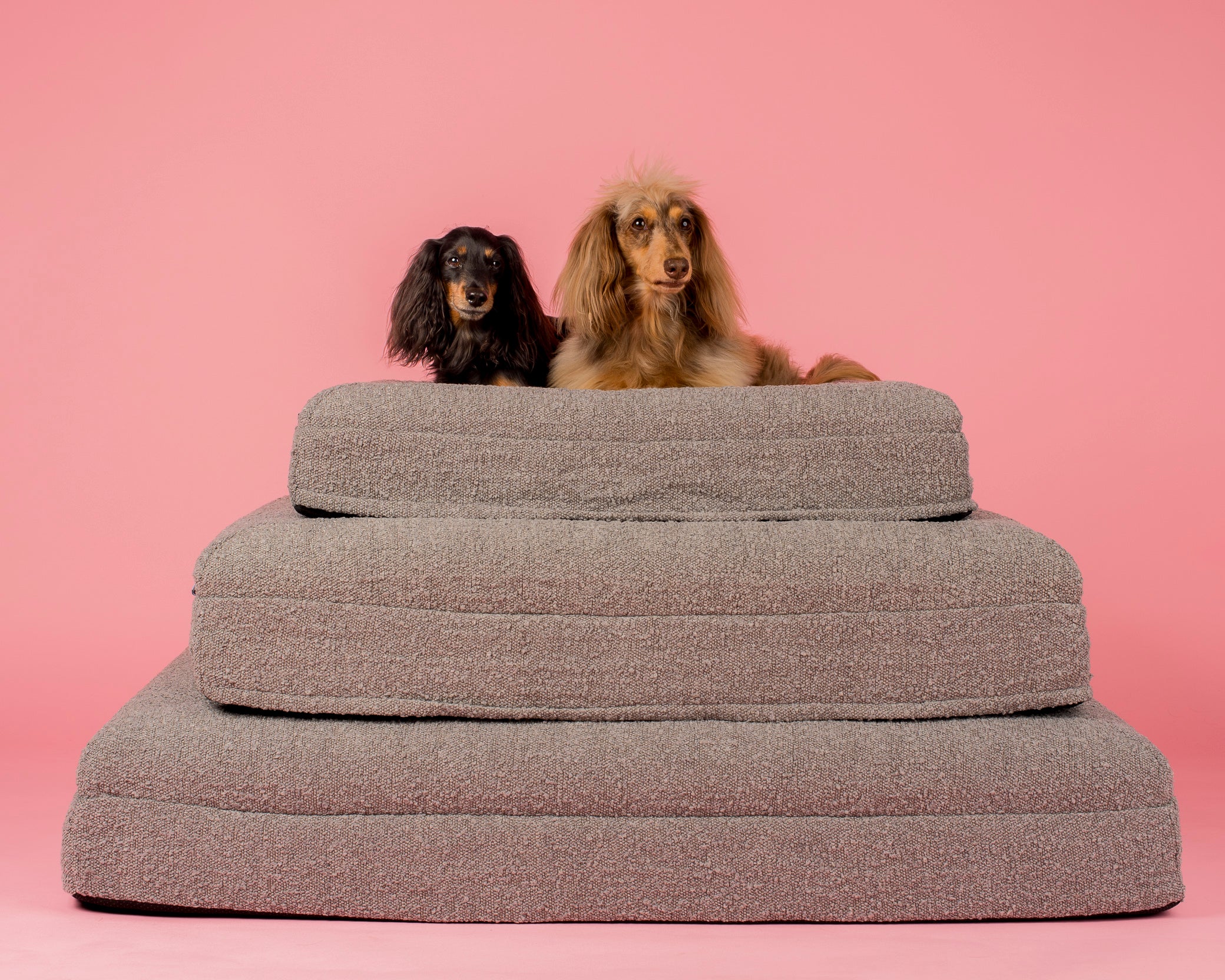 Orthopedic Memory Foam Boucle Dog Bed: Storm - Image 12