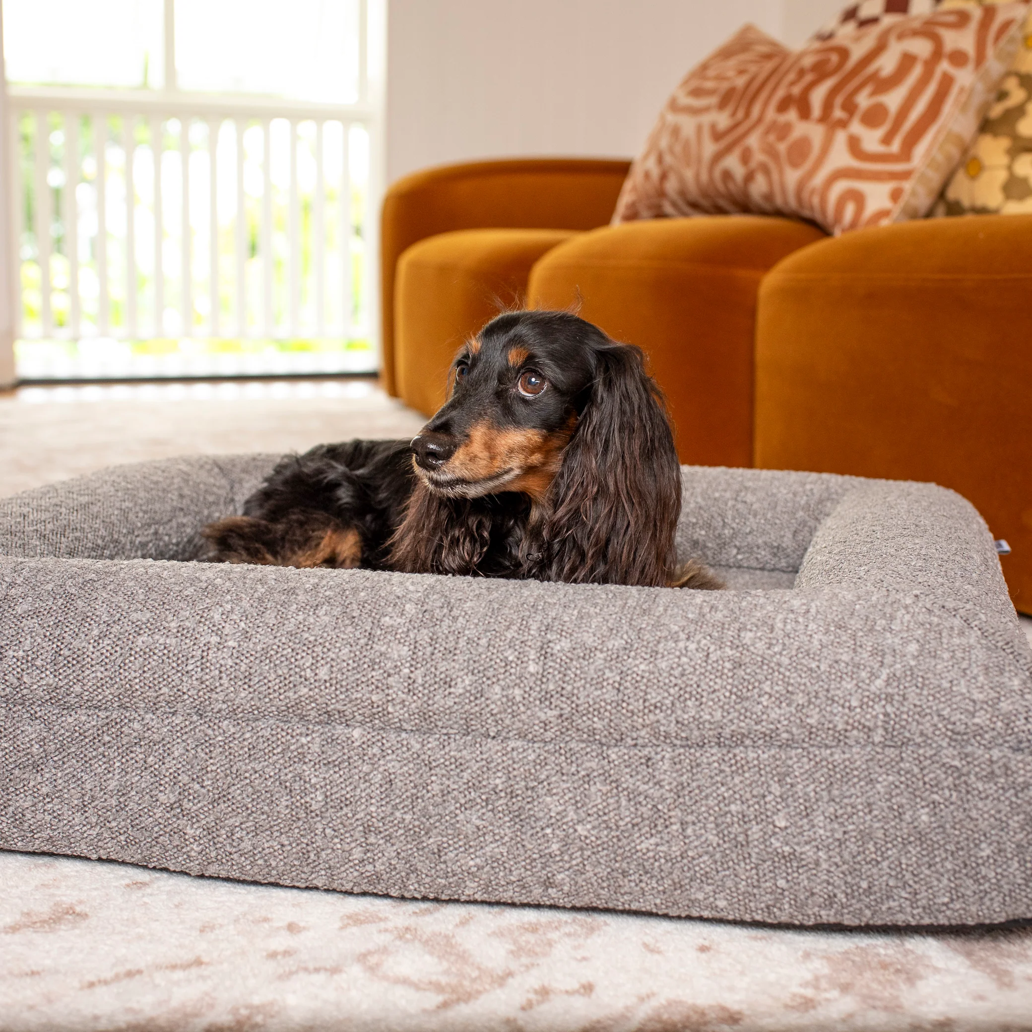 Orthopedic Memory Foam Boucle Dog Bed: Storm - Image 4