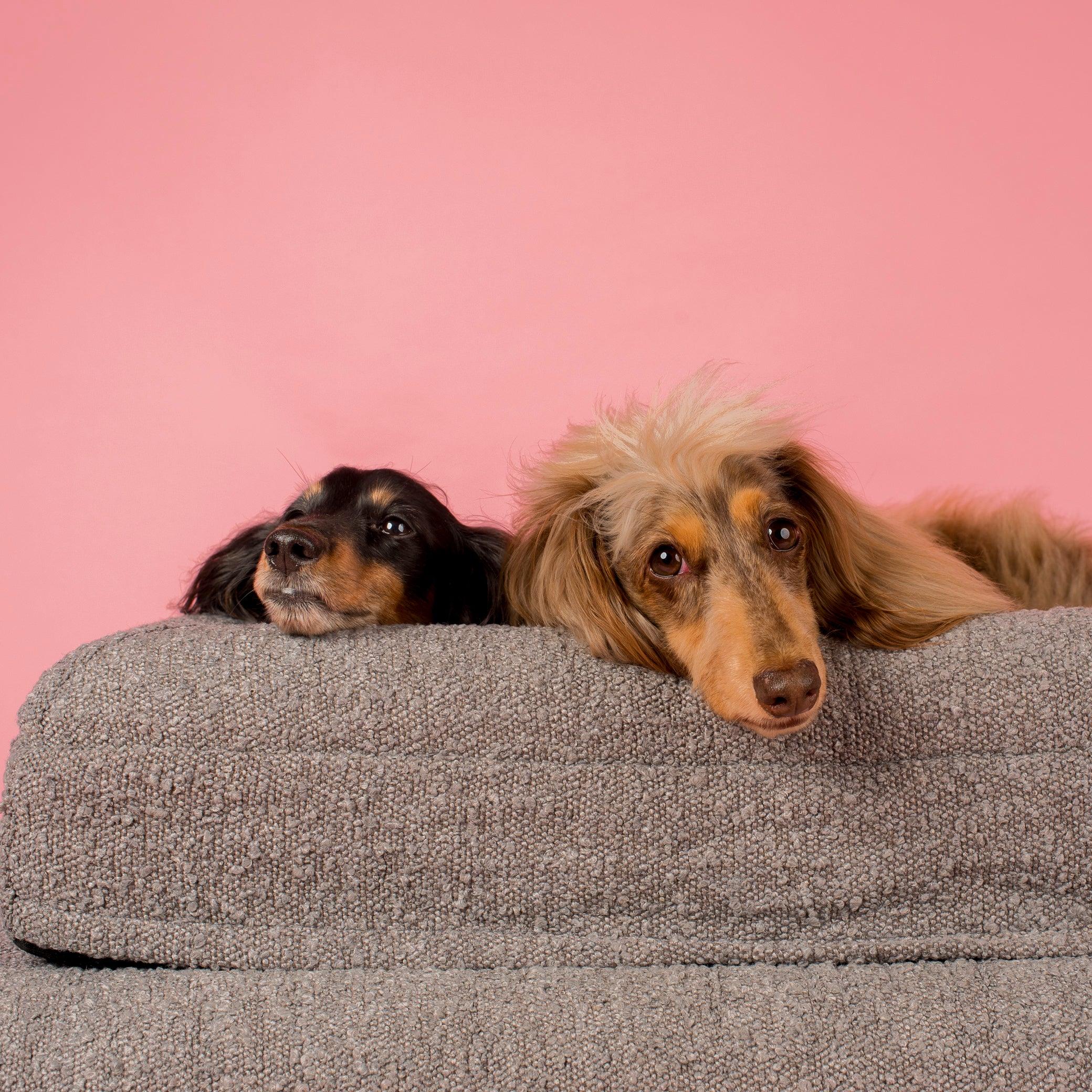 Orthopedic Memory Foam Boucle Dog Bed: Storm - Image 7