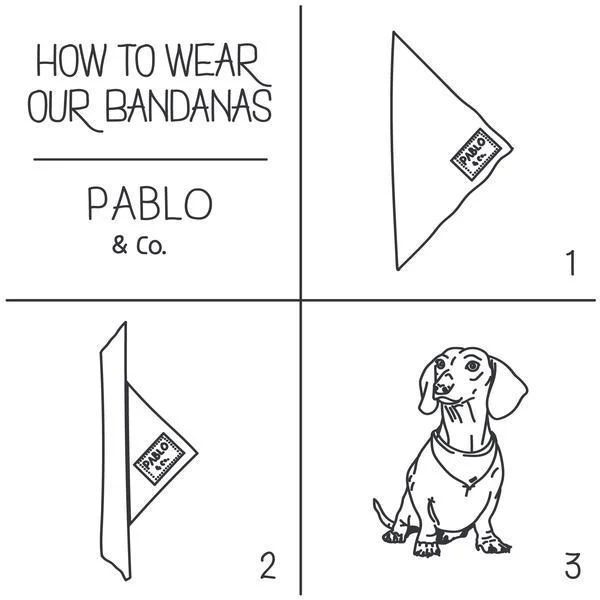 Papaya - Bandana - Image 2