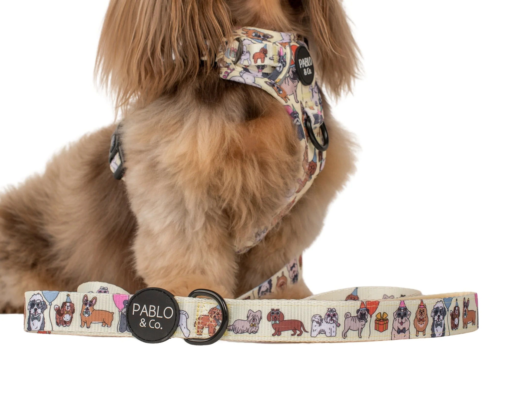 Party Dawgs: Dog Leash - Image 2