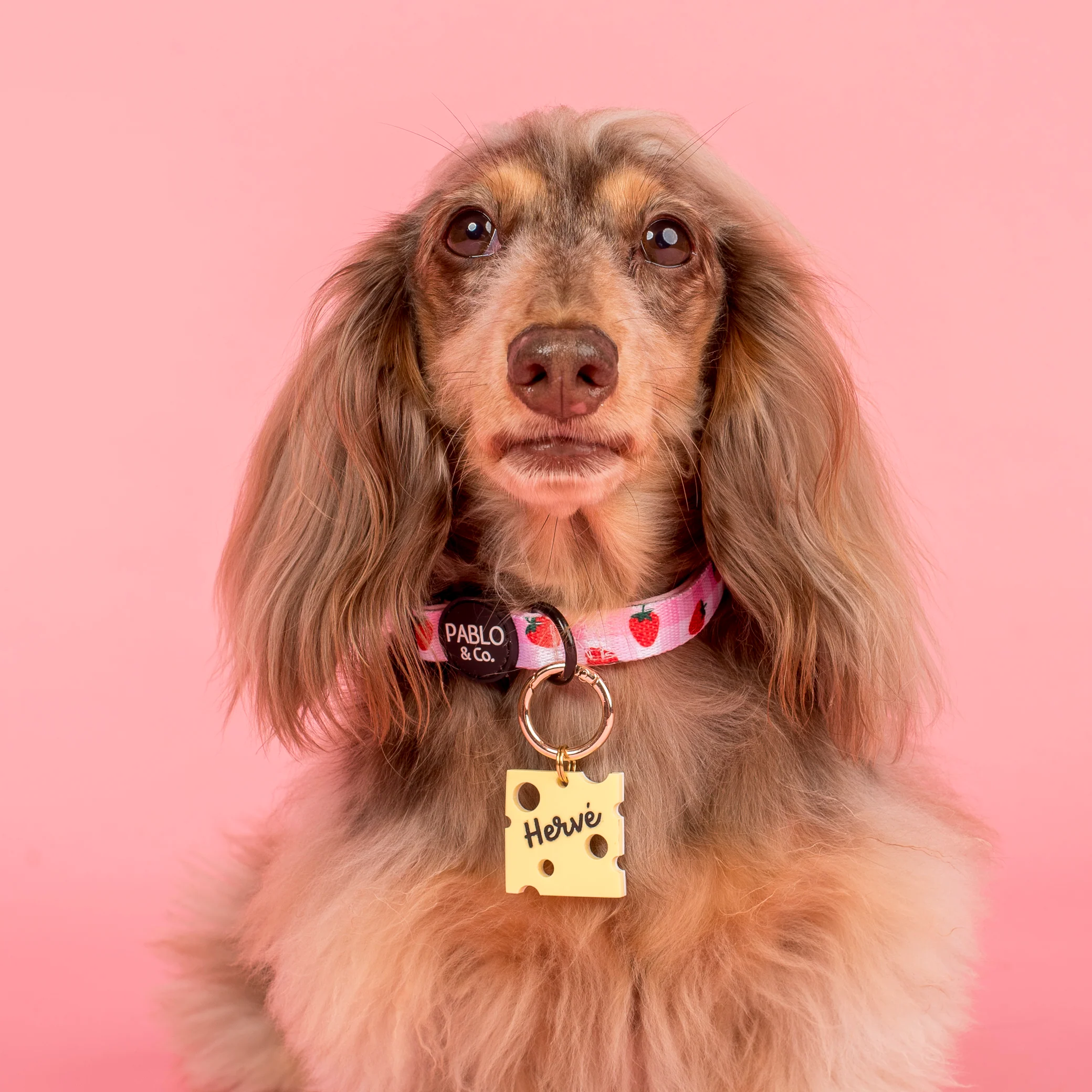 Personalised Pet ID Tag: Cheese Slice - Image 3