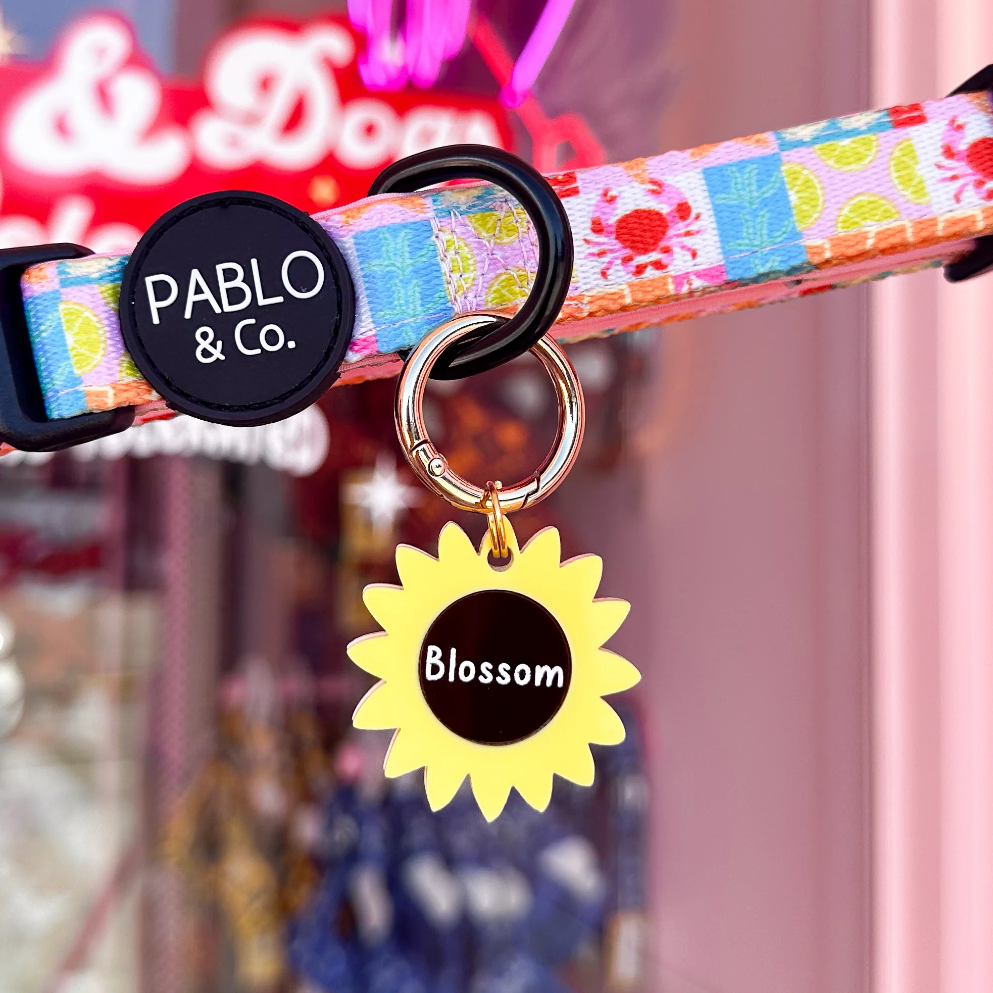 Personalised Pet ID Tag: Sunflower - Image 3