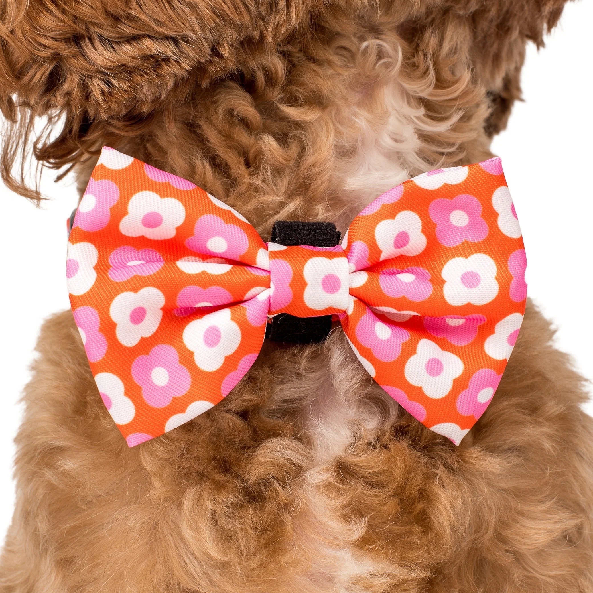 Pink Checkered Daisies: Bow Tie - Image 2