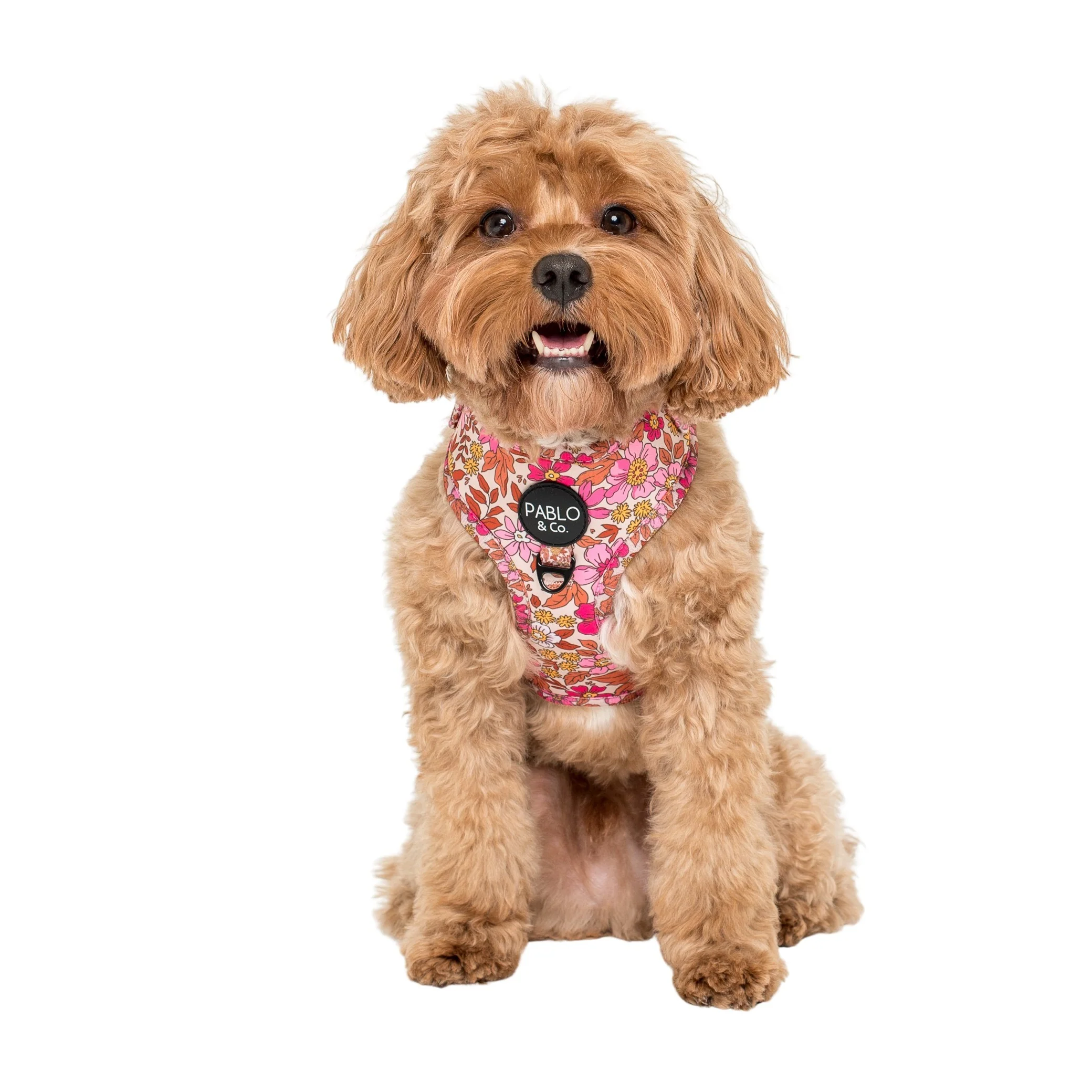 Pink Posies: Adjustable Harness - Image 5