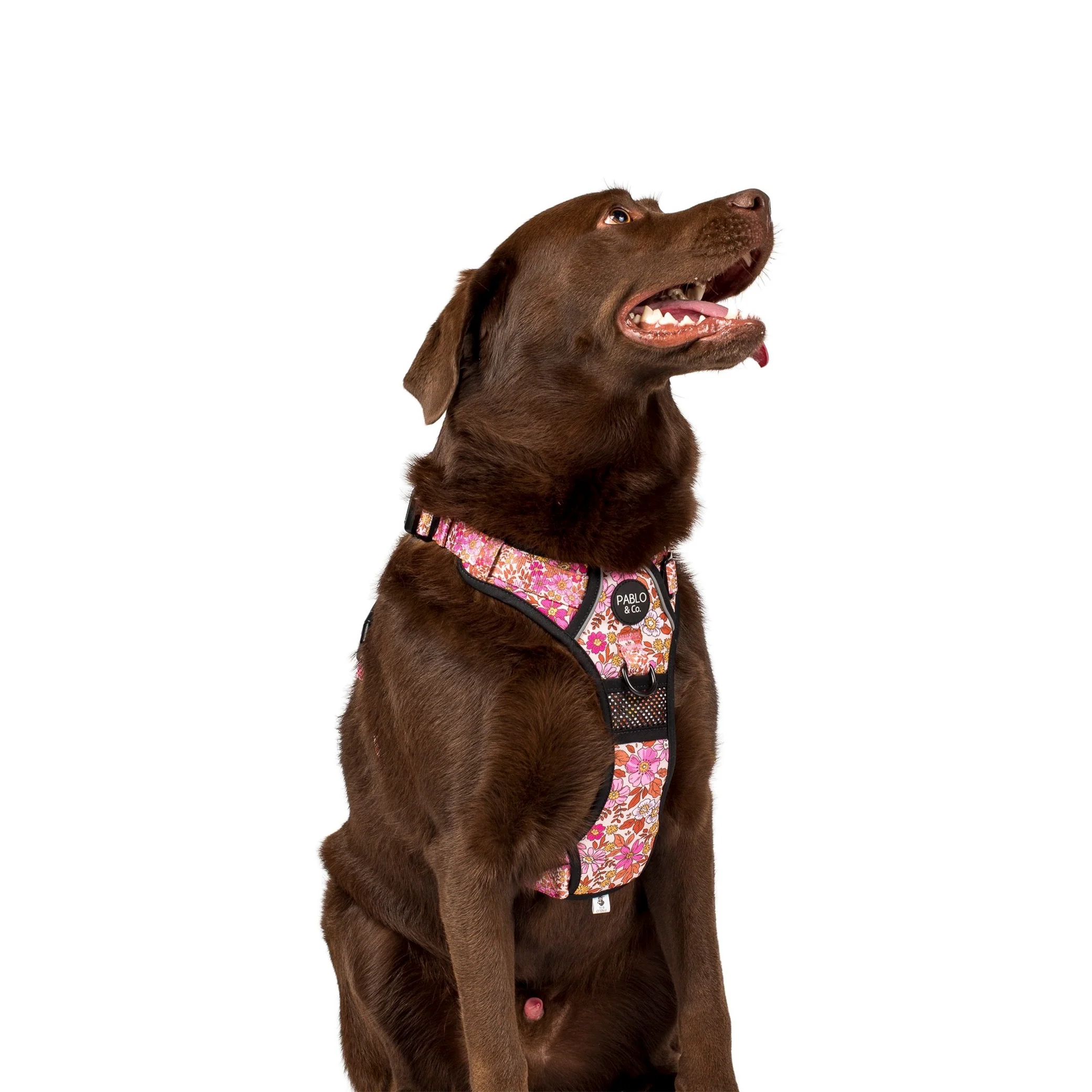 Pink Posies: No Pull Adventure Harness - Image 2