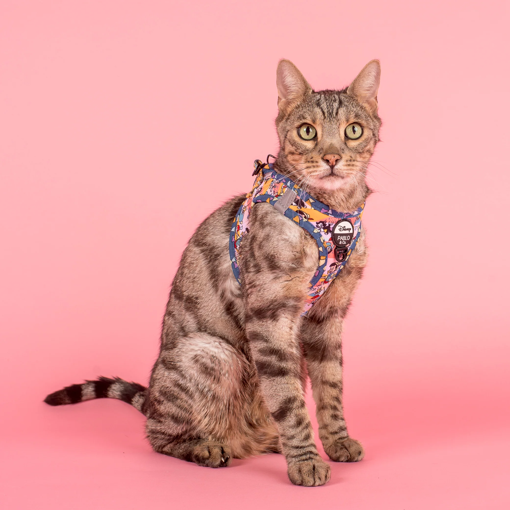 Pinocchio: Step In Cat Harness - Image 4