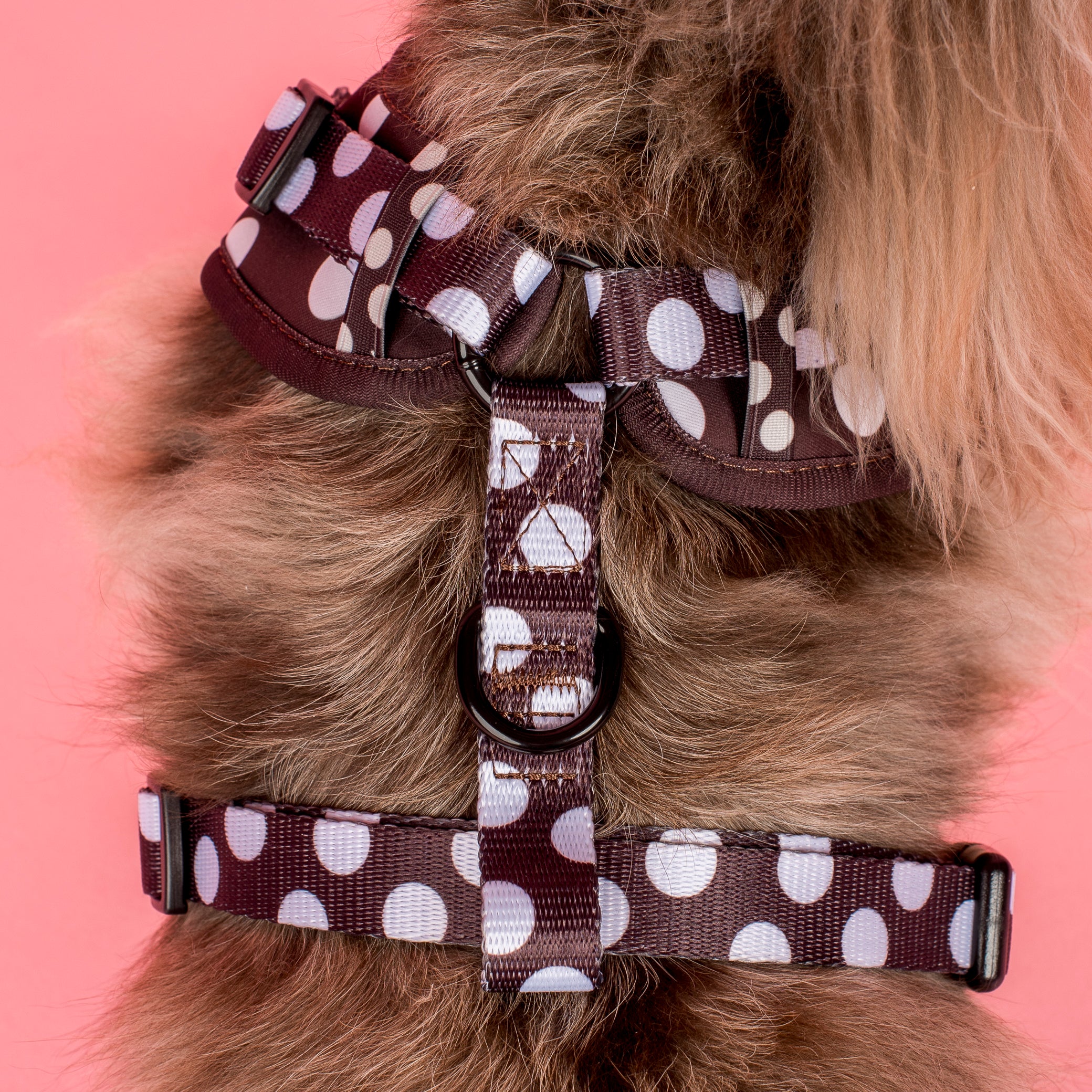 Polka Dots: Adjustable Harness - Image 5