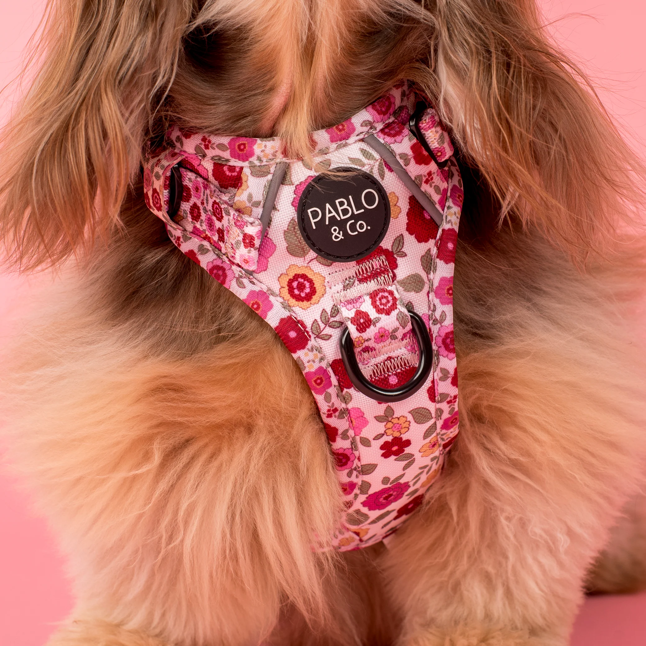 Primrose: No Pull Adventure Harness - Image 2