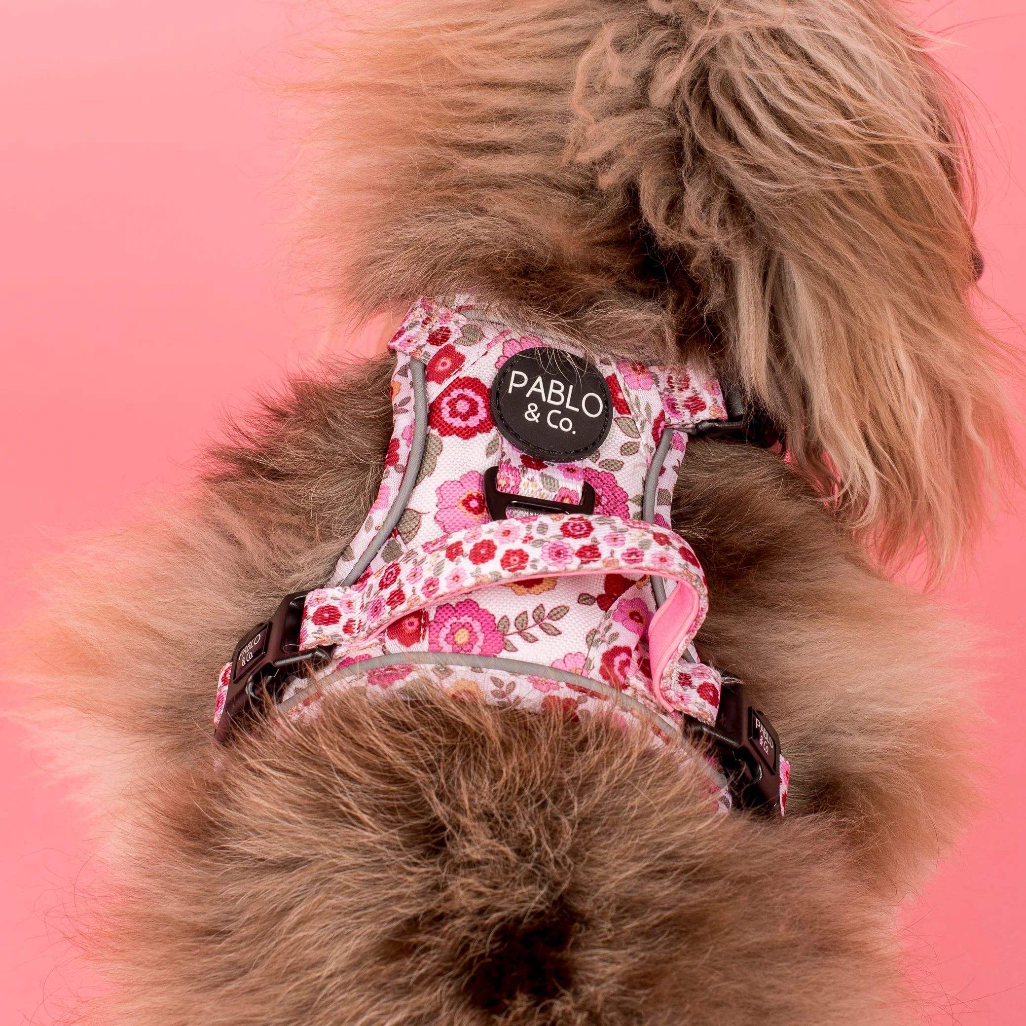 Primrose: No Pull Adventure Harness - Image 4