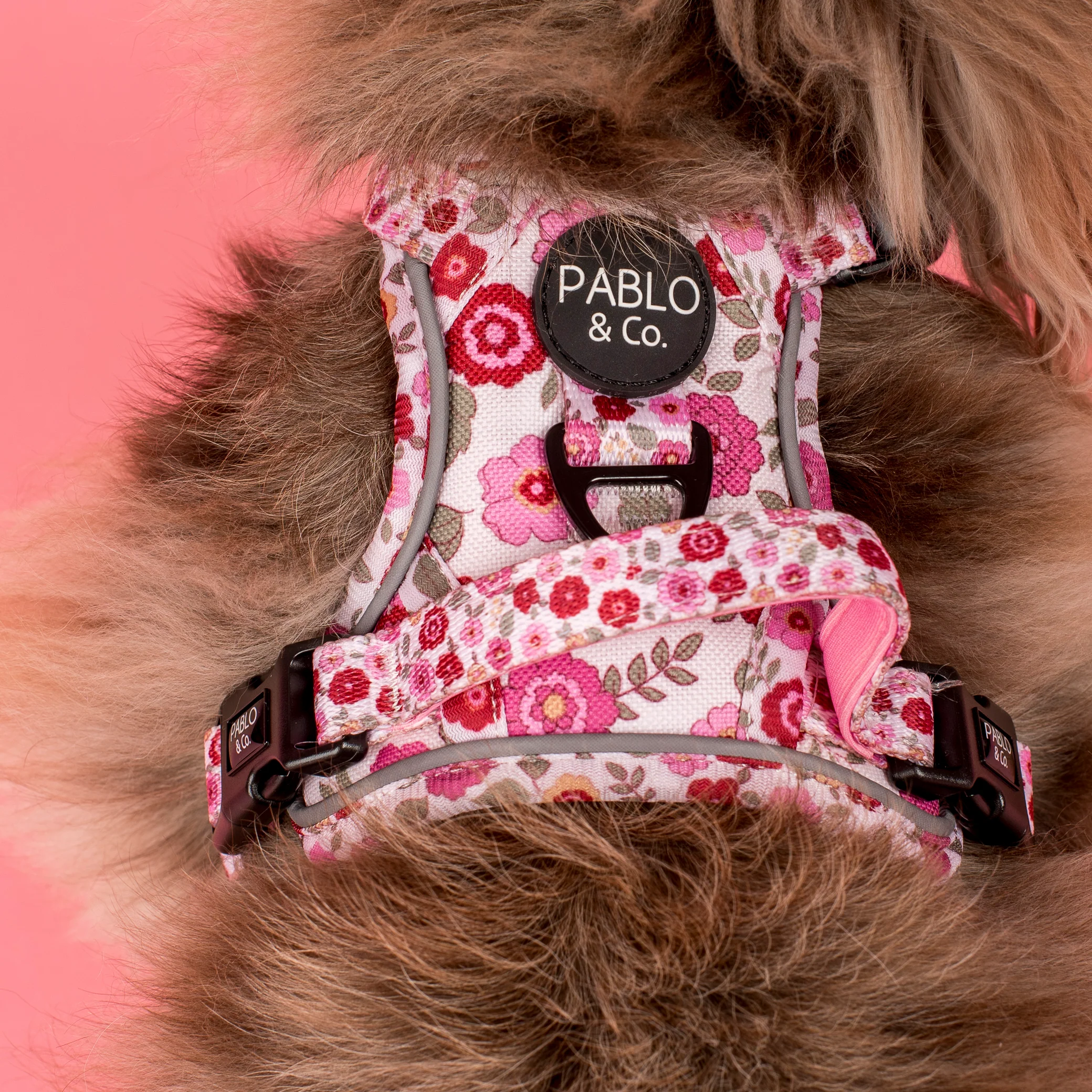 Primrose: No Pull Adventure Harness - Image 7