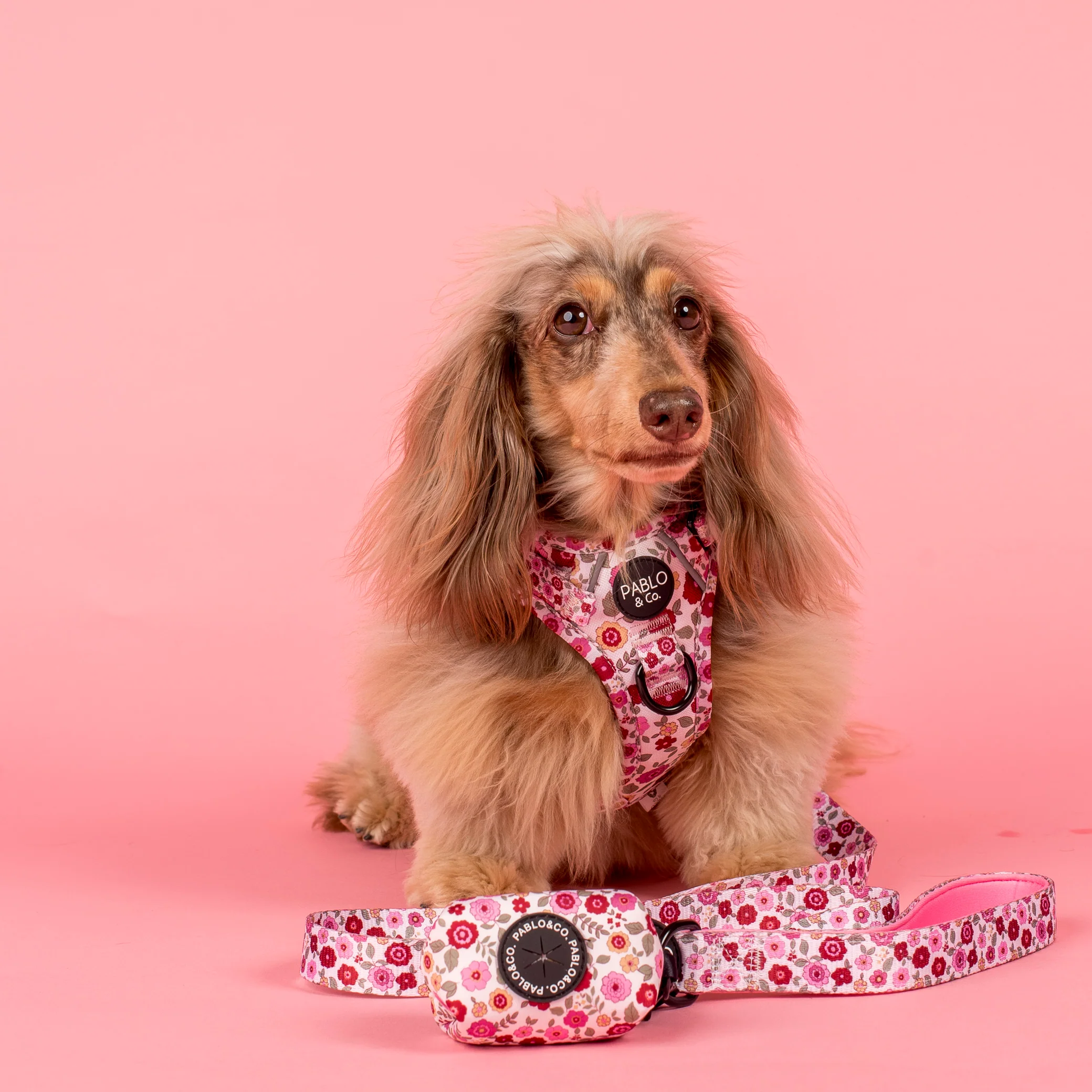 Primrose: Poop Bag Holder - Image 2