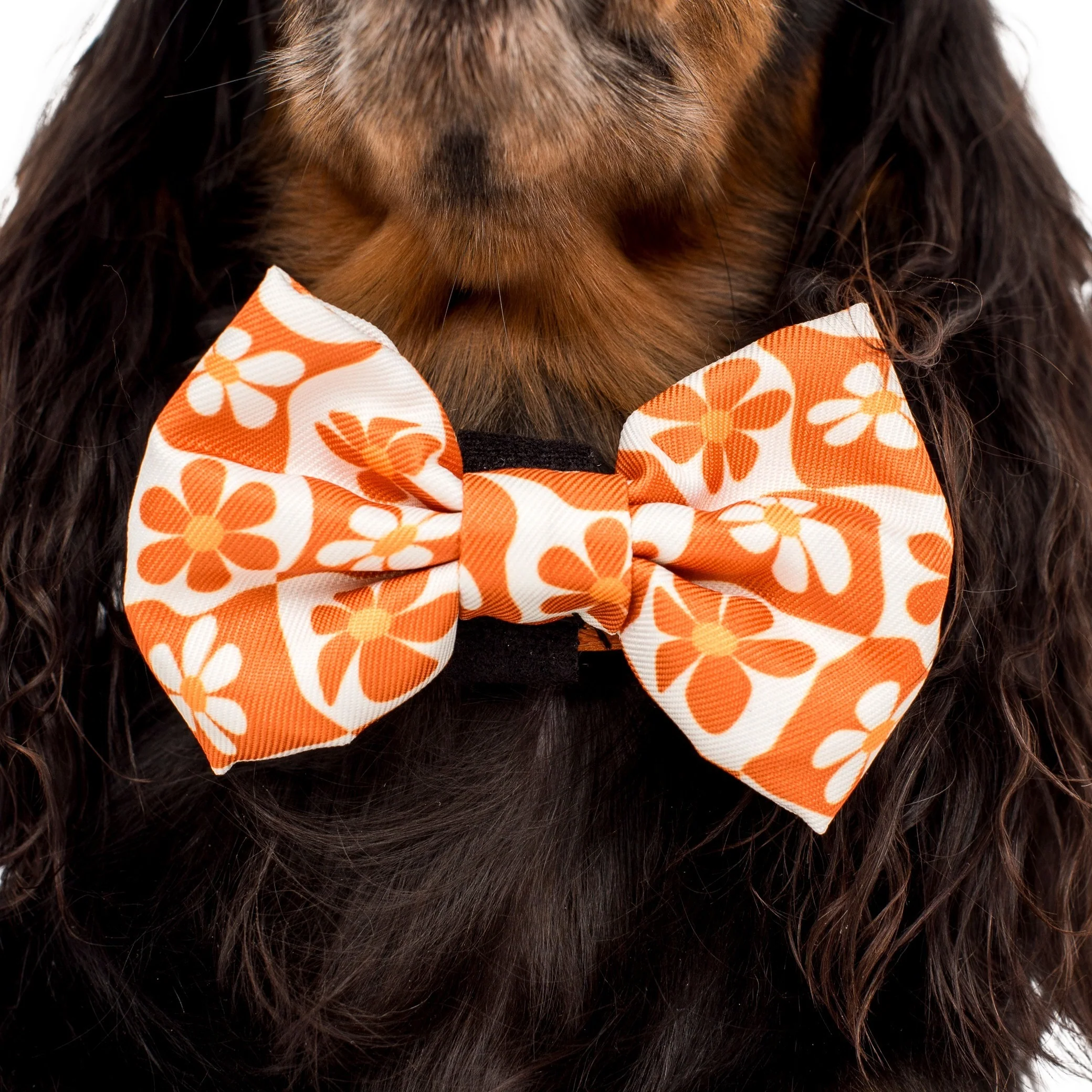 Retro Dazie: Bow Tie - Image 2
