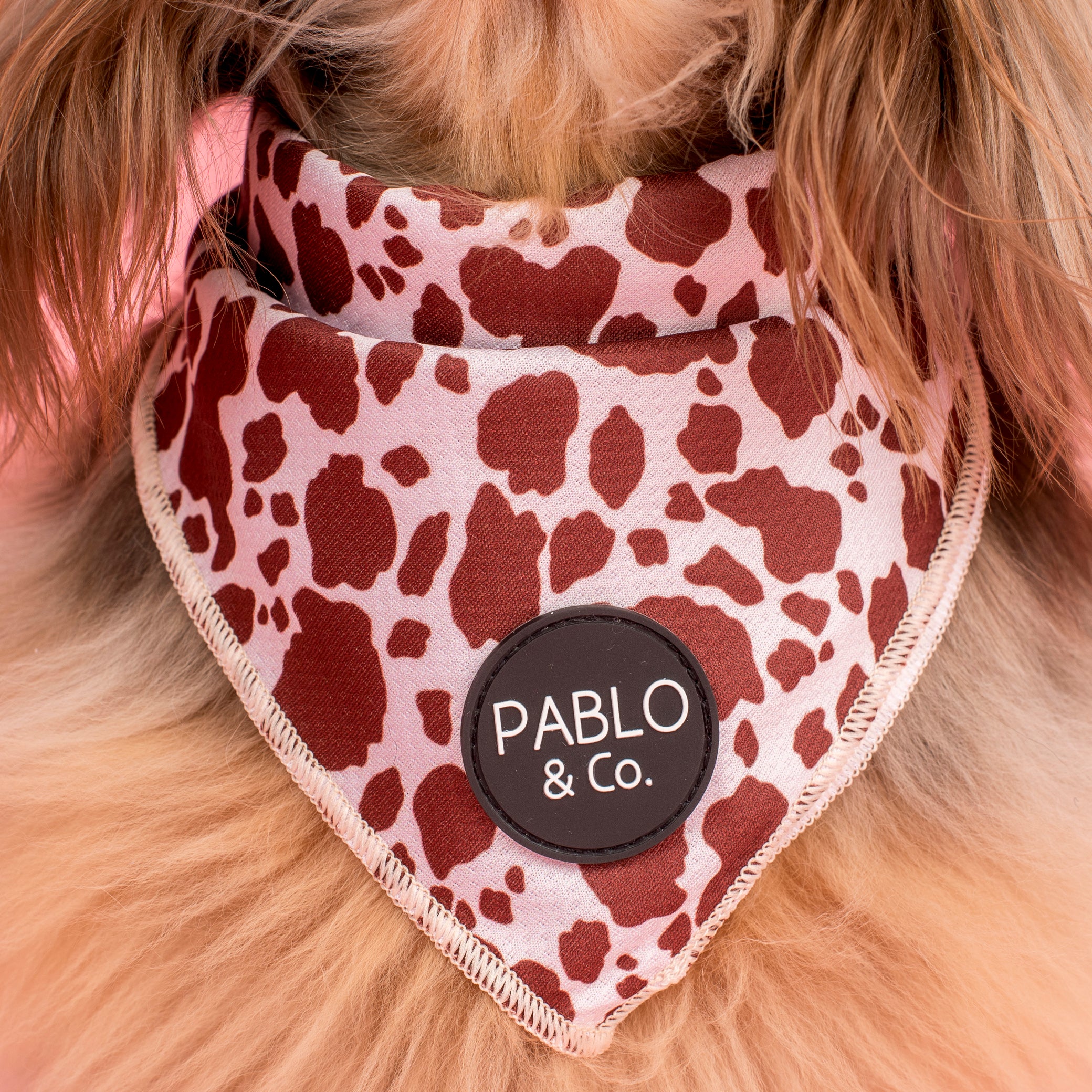 Rodeo: Dog Bandana - Image 2