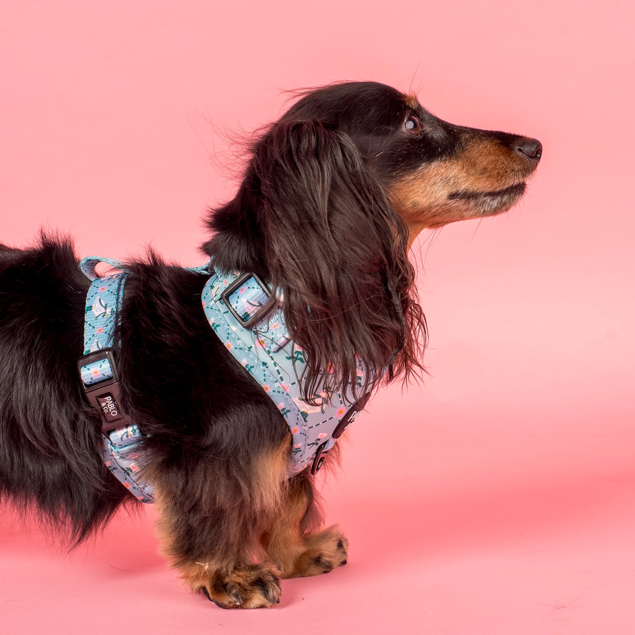 Silly Little Goose: Adjustable Harness - Image 3