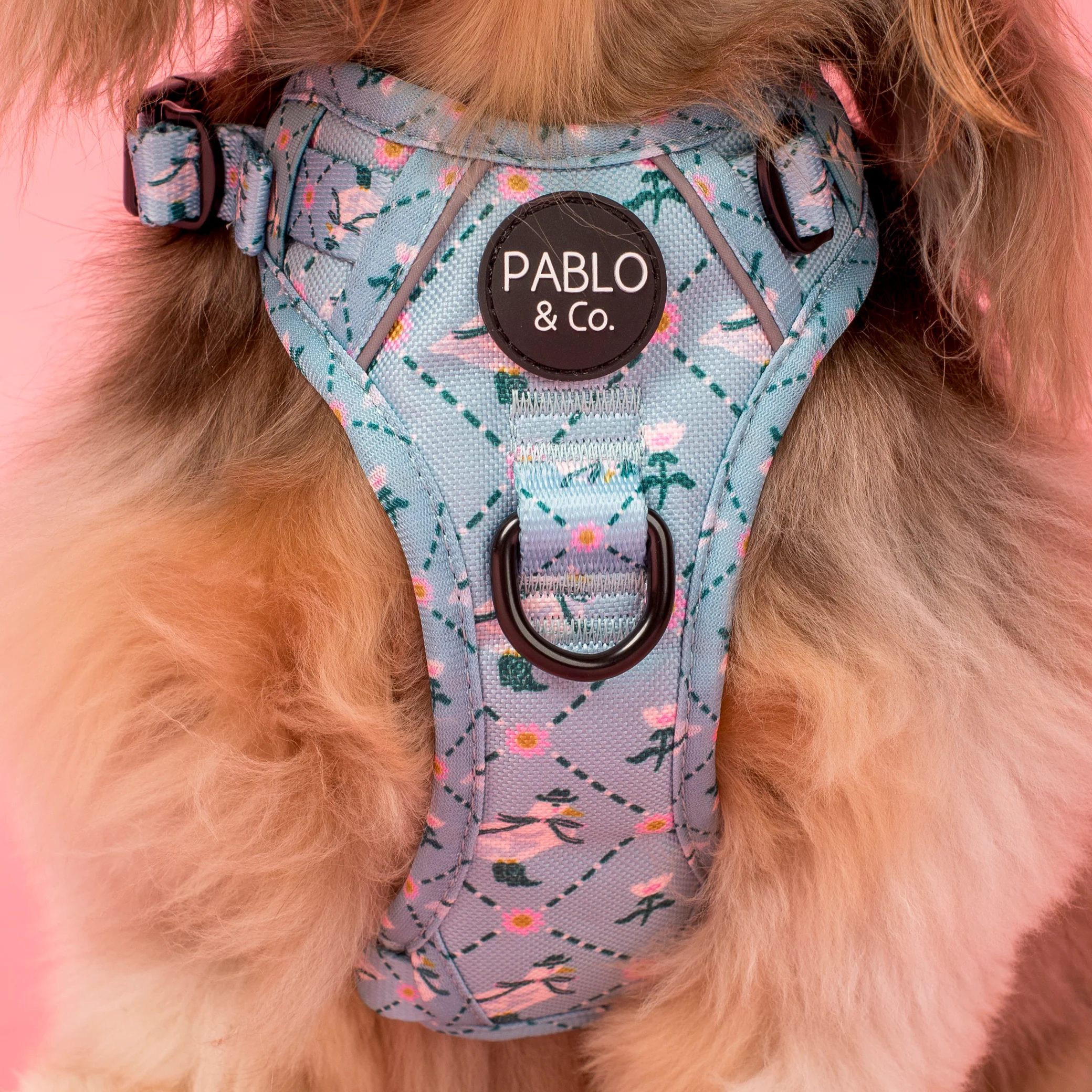 Silly Little Goose: No Pull Adventure Harness - Image 2