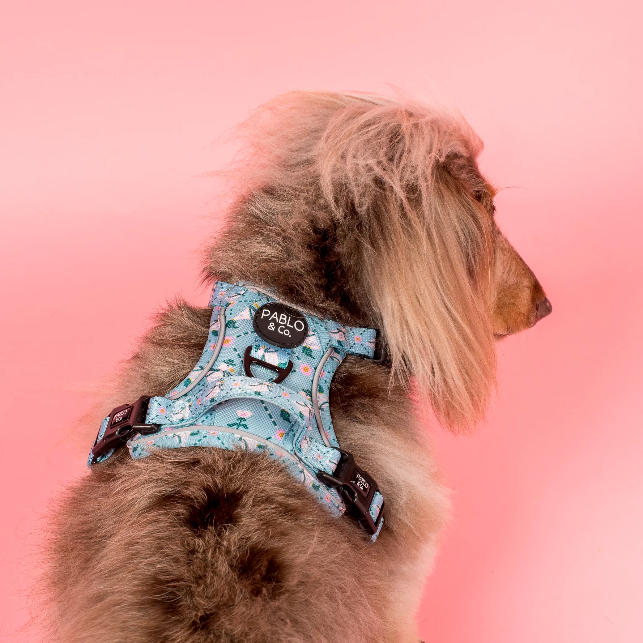 Silly Little Goose: No Pull Adventure Harness - Image 4