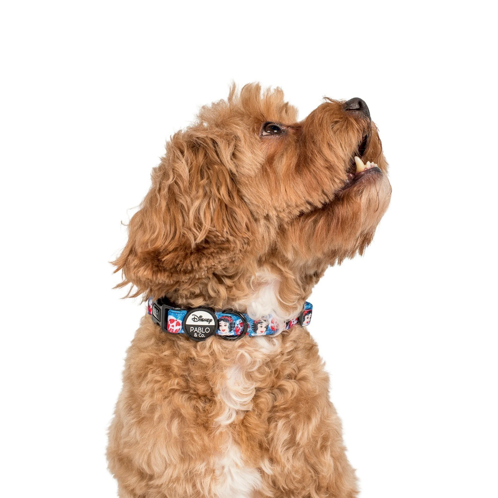 Snow White: Dog Collar - Image 2