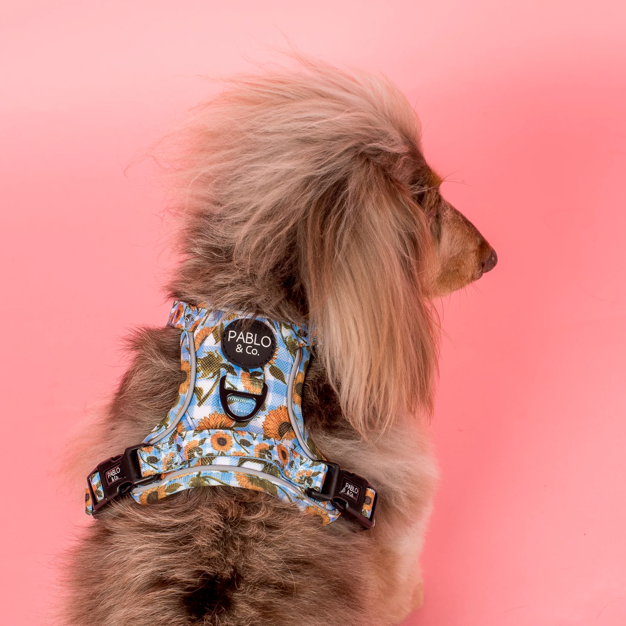 Sunny Sunflowers: No Pull Adventure Harness - Image 3