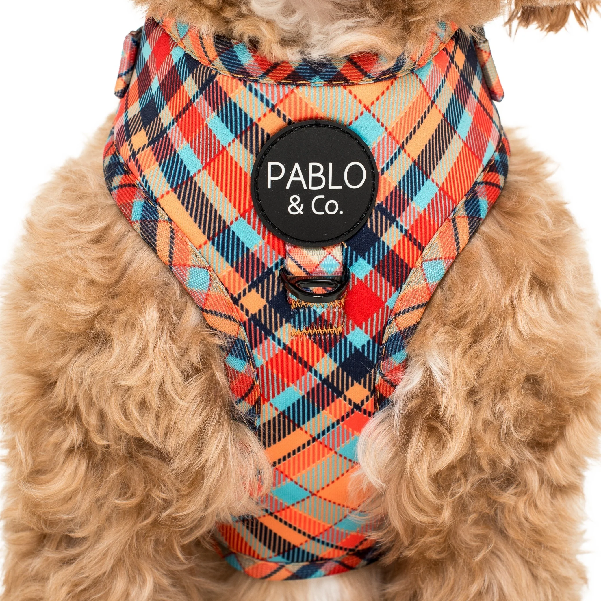 Tartan: Adjustable Harness - Image 2