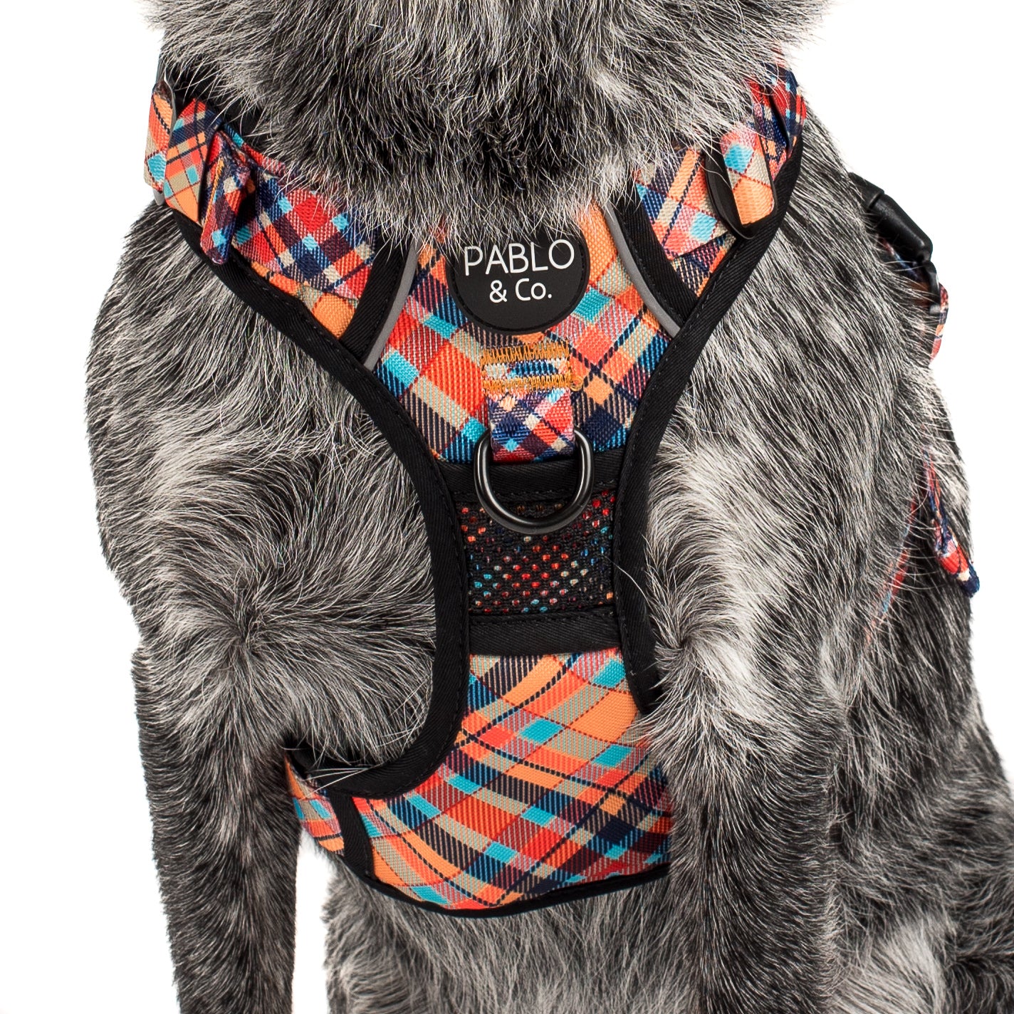 Tartan: No Pull Adventure Harness - Image 4