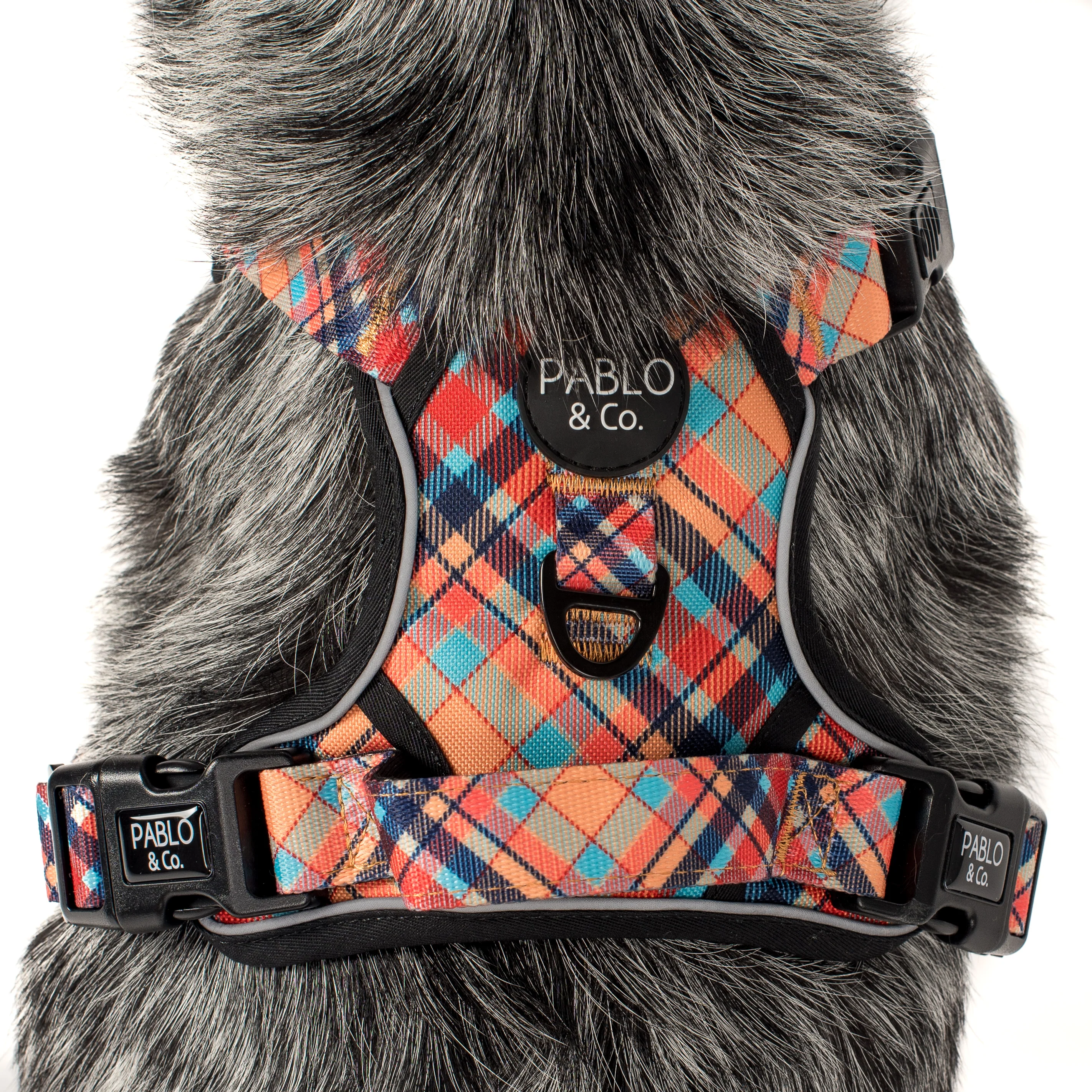 Tartan: No Pull Adventure Harness - Image 5