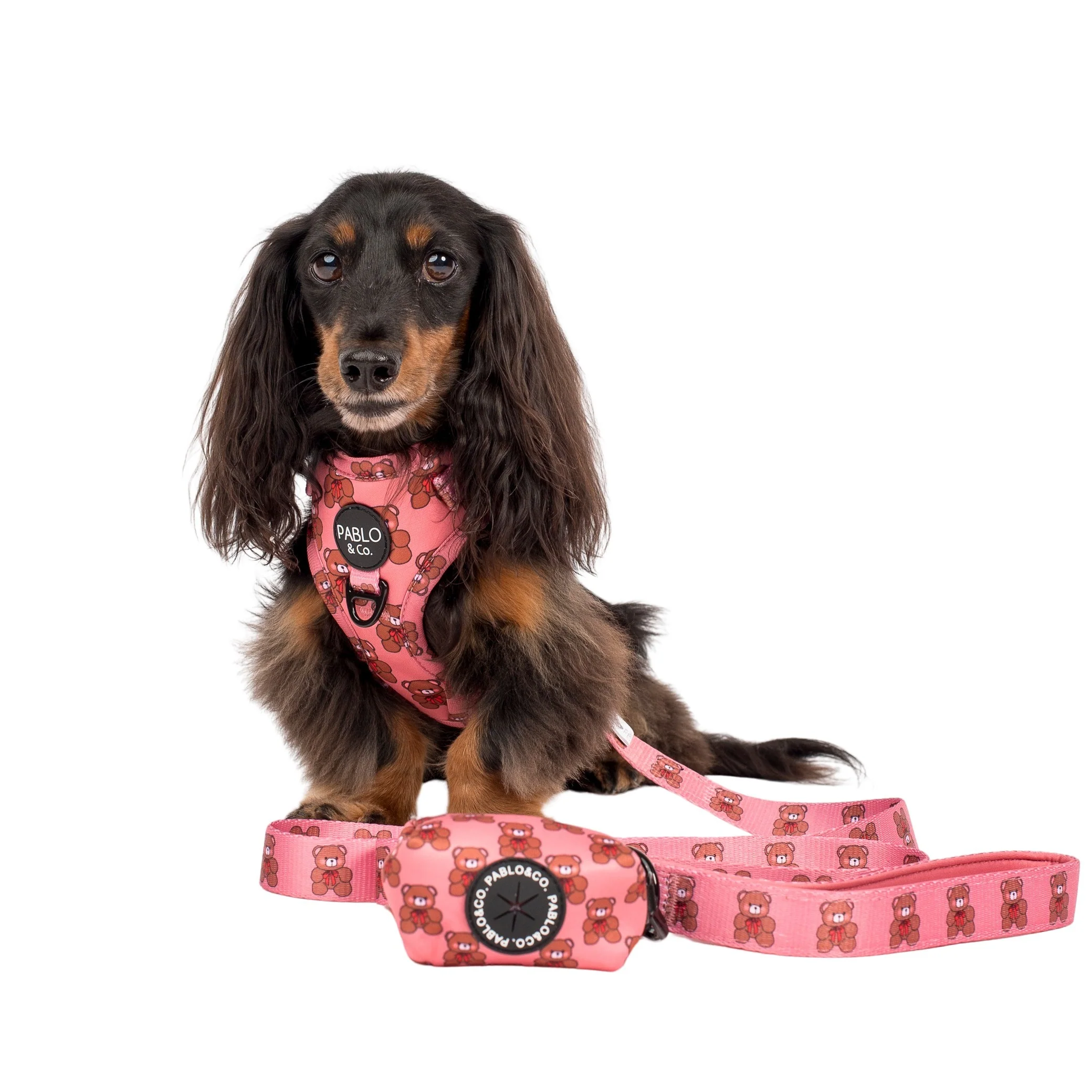 Teddies - Poop Bag Holder - Image 4