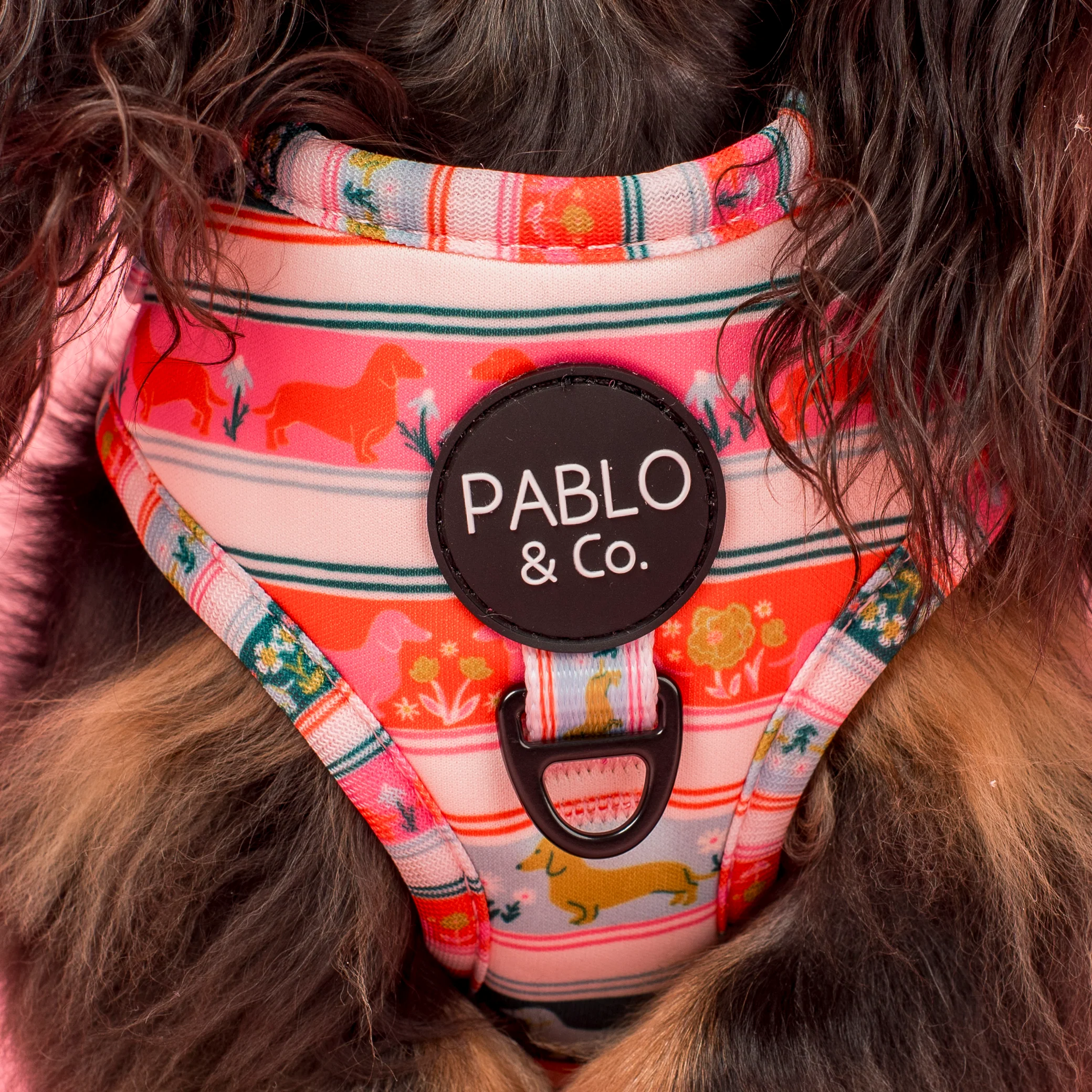 The Blooming Dachshund: Adjustable Harness - Image 2