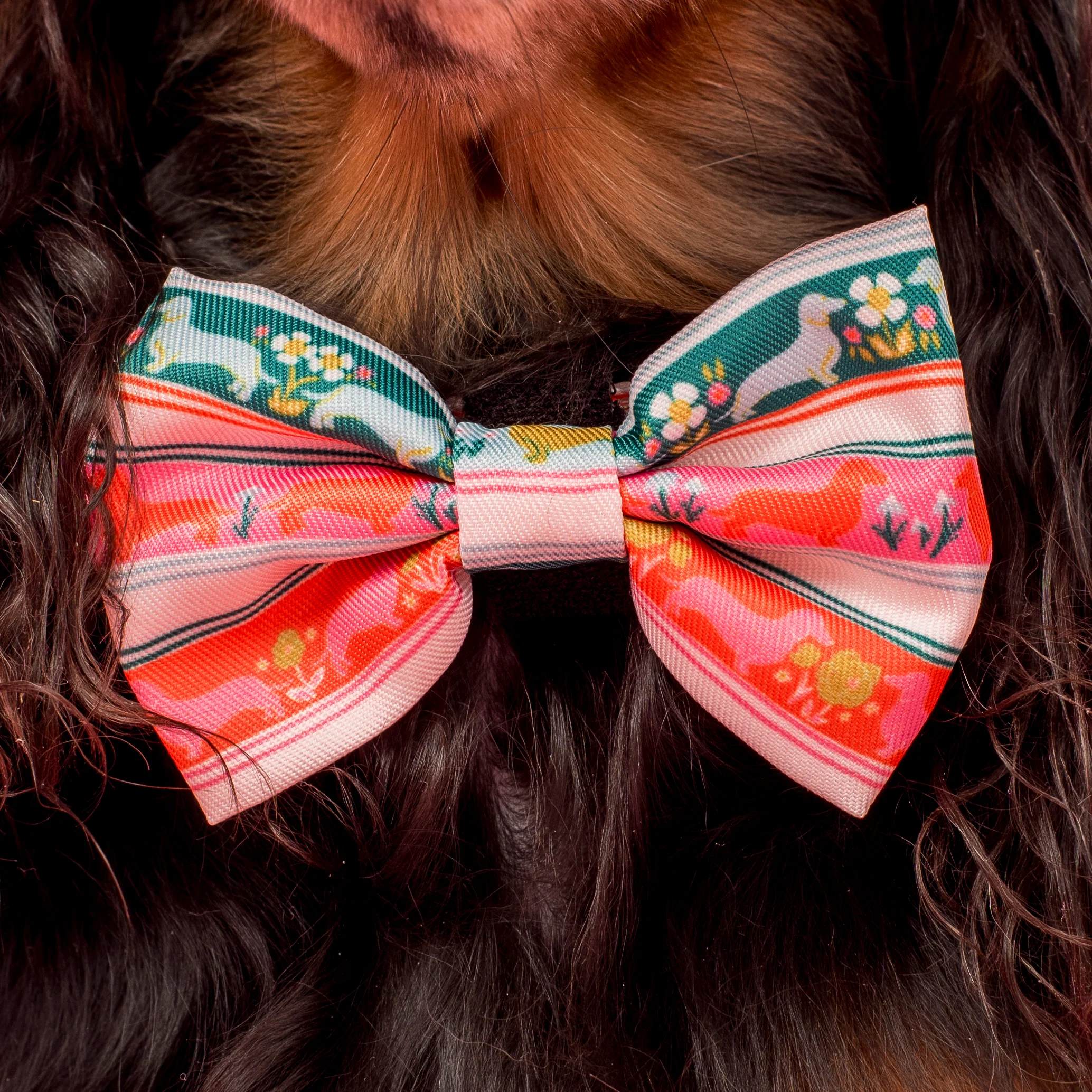 The Blooming Dachshund: Bow Tie - Image 2