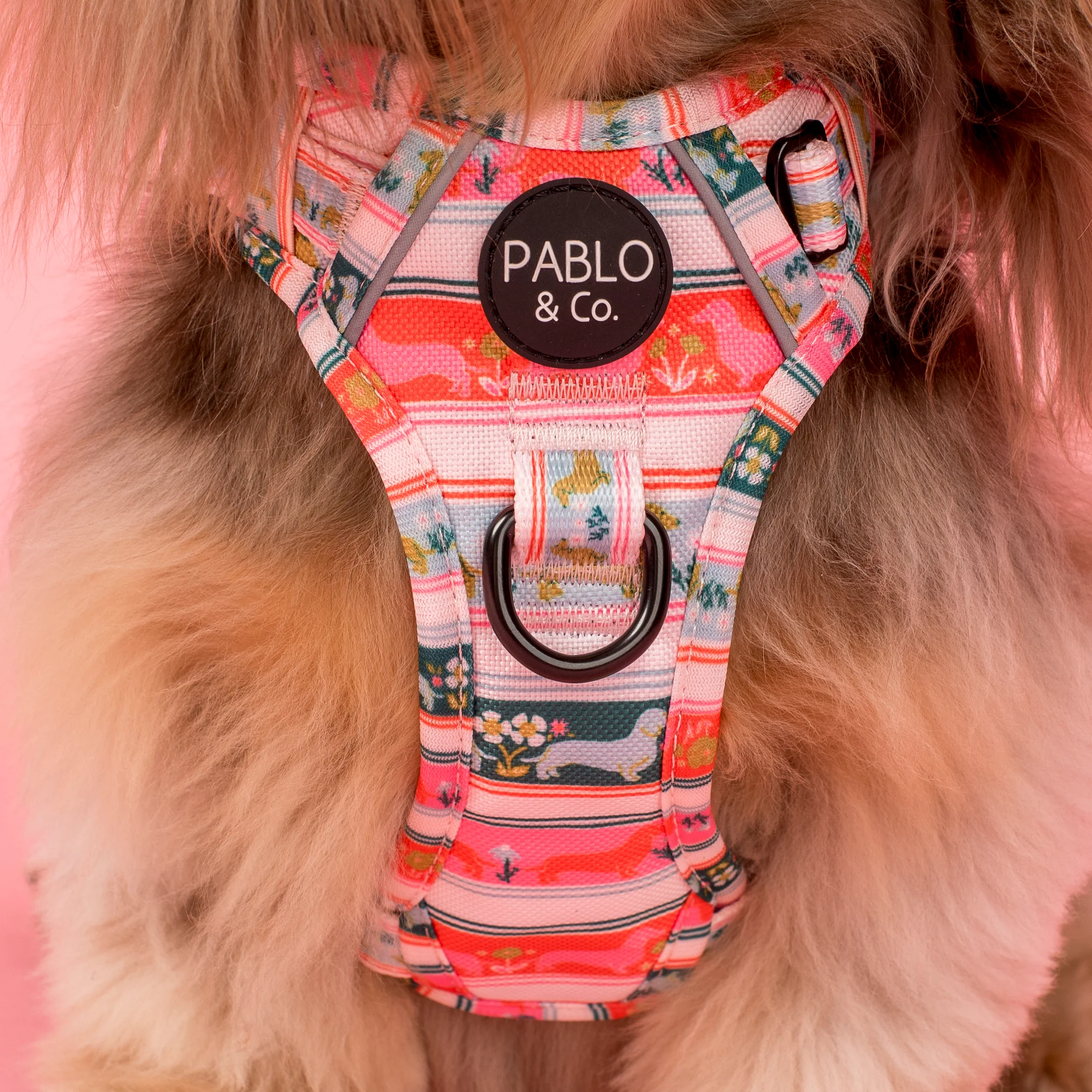 The Blooming Dachshund: No Pull Adventure Harness - Image 2