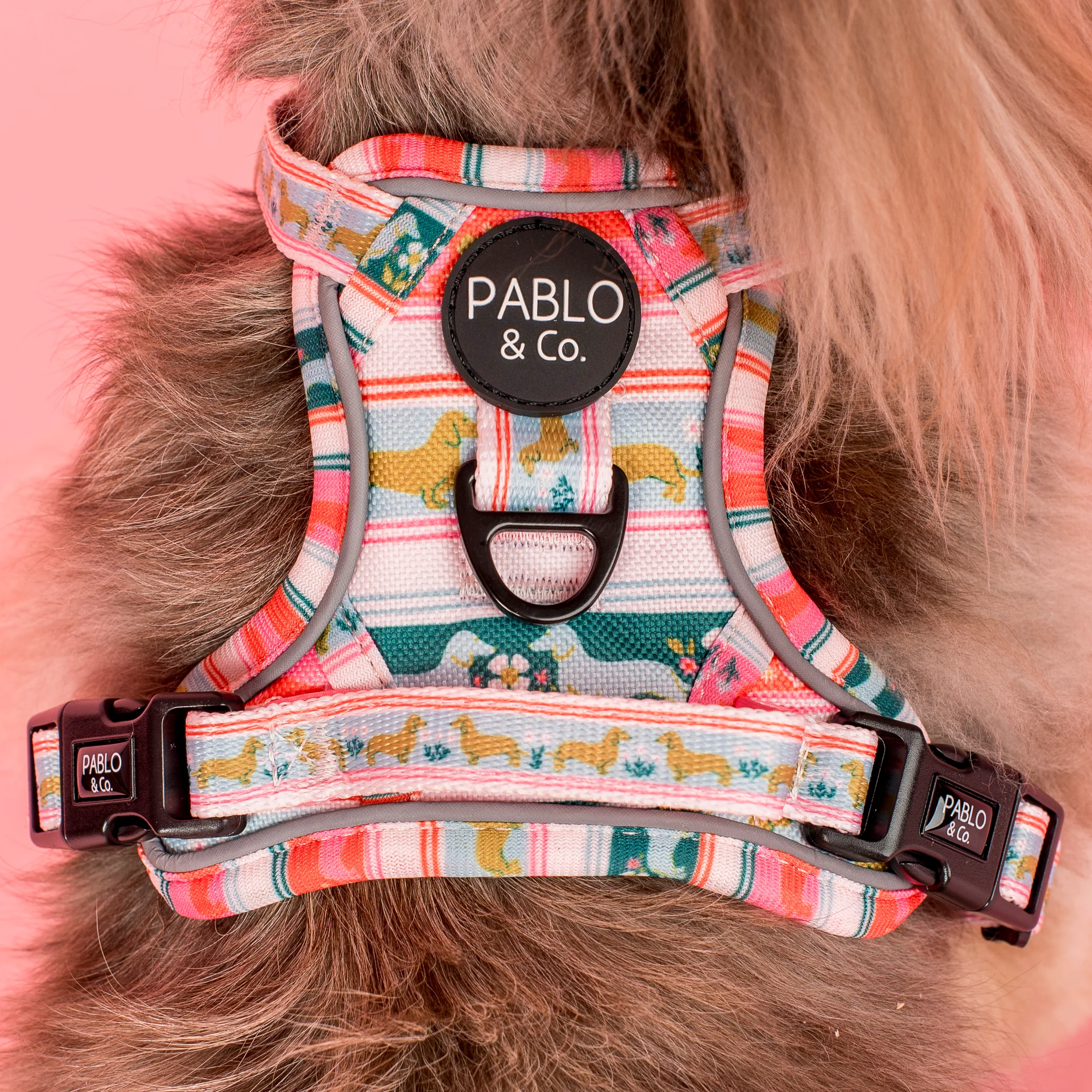 The Blooming Dachshund: No Pull Adventure Harness - Image 4