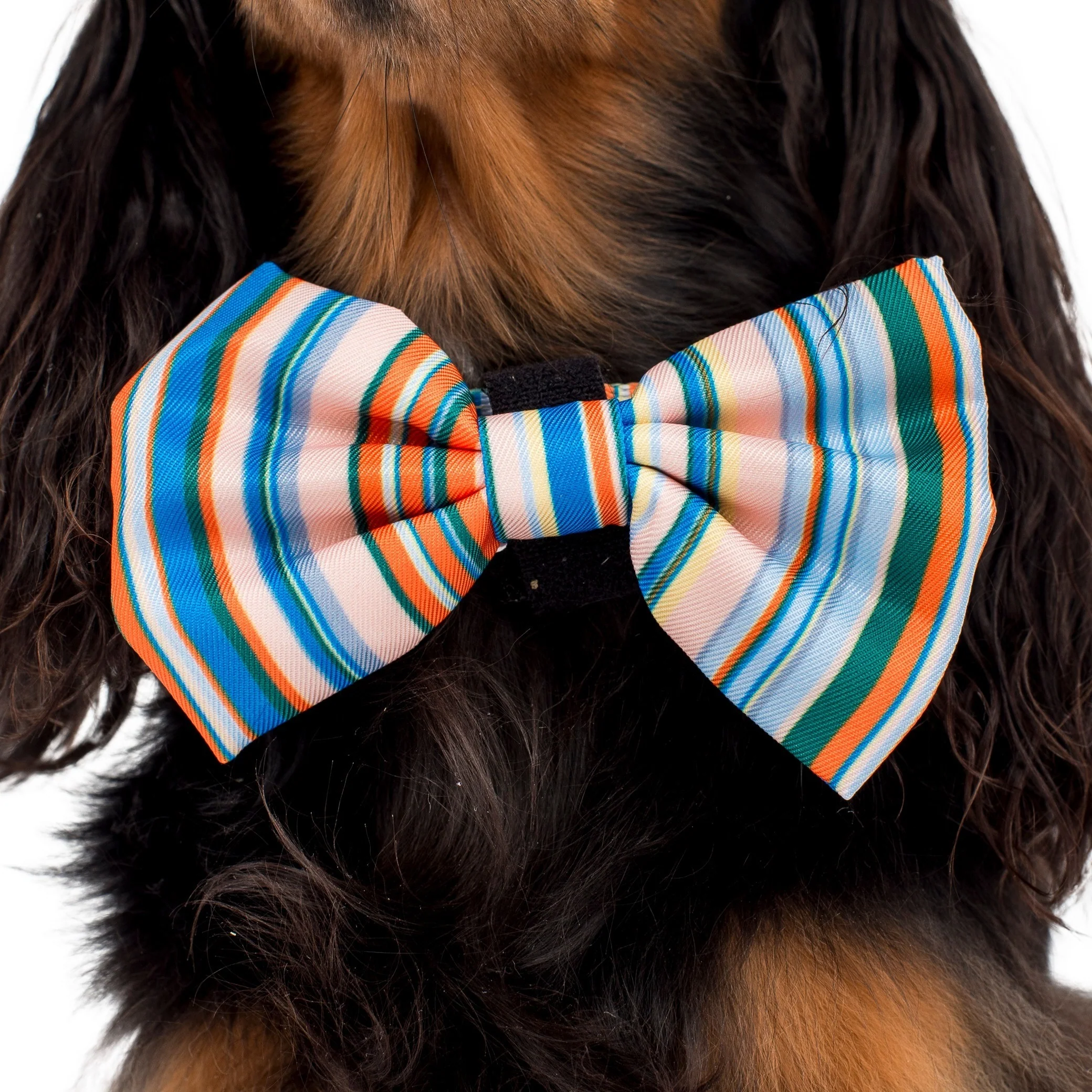 The Cabana: Bow Tie - Image 2